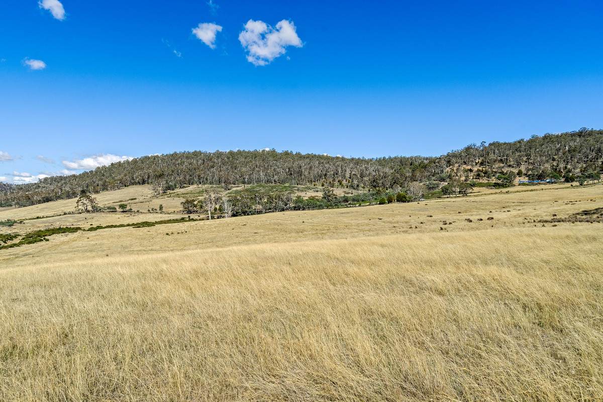 44 Huntingdon Tier Road, Dysart For Sale by Farmbuy.com - image 23