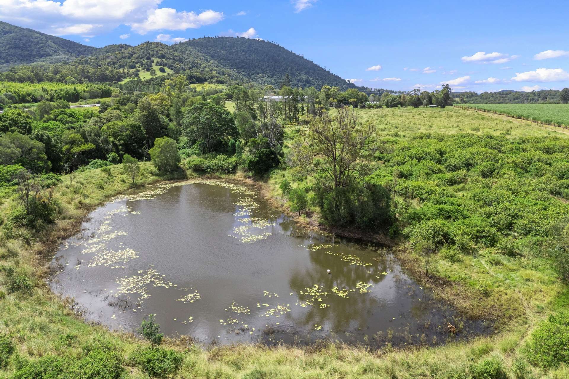 18 Chapmans Road East, Bauple For Sale by Farmbuy.com - image 4