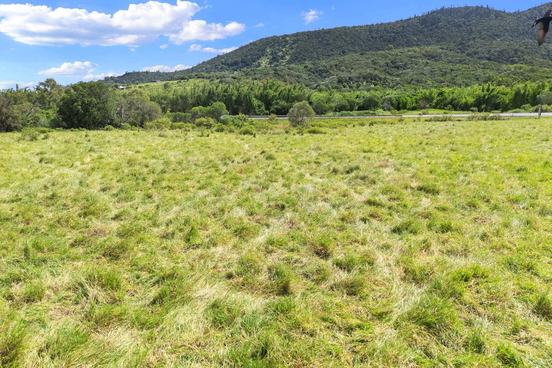 18 Chapmans Road East, Bauple For Sale by Farmbuy.com - image 23