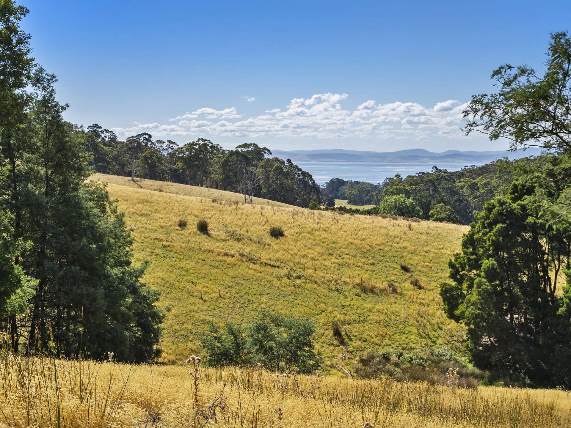 729 Nubeena Road And 44 Coppings Road, Premaydena For Sale by Farmbuy.com - image 2