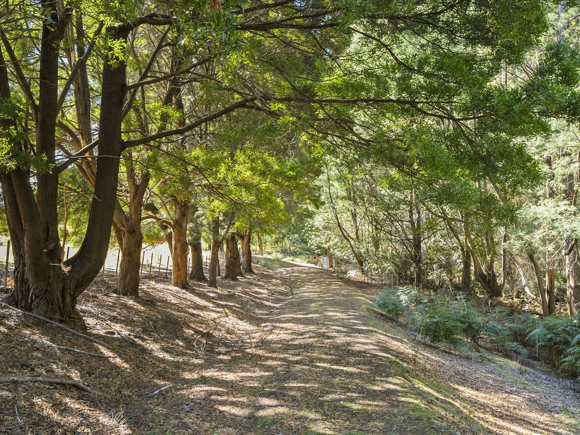 729 Nubeena Road And 44 Coppings Road, Premaydena For Sale by Farmbuy.com - image 10