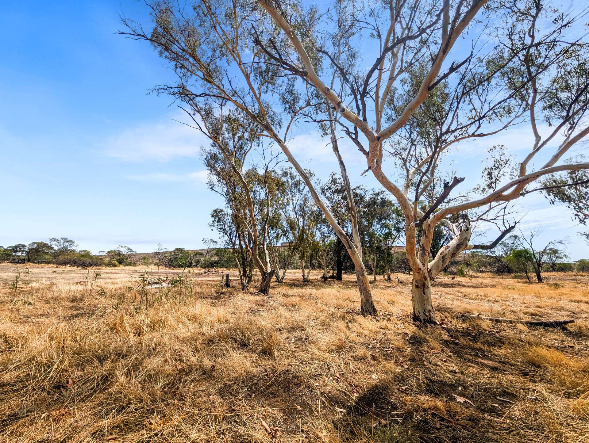 Lot 41 Golf Course Road, Bruce Rock For Sale by Farmbuy.com - image 17