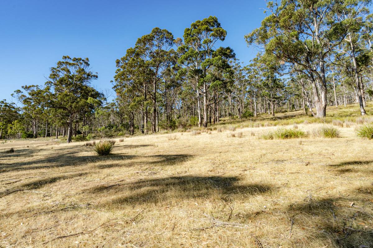 4 D'Entrecasteaux Drive, North Bruny For Sale by Farmbuy.com - image 17