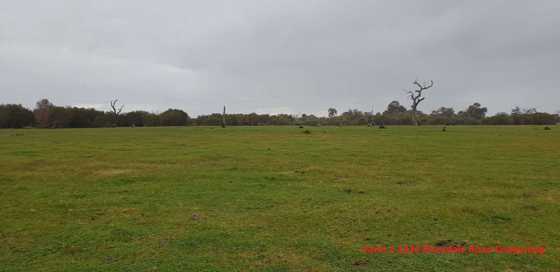 1326 Riverdale Road, Cookernup For Sale by Farmbuy.com - image 3