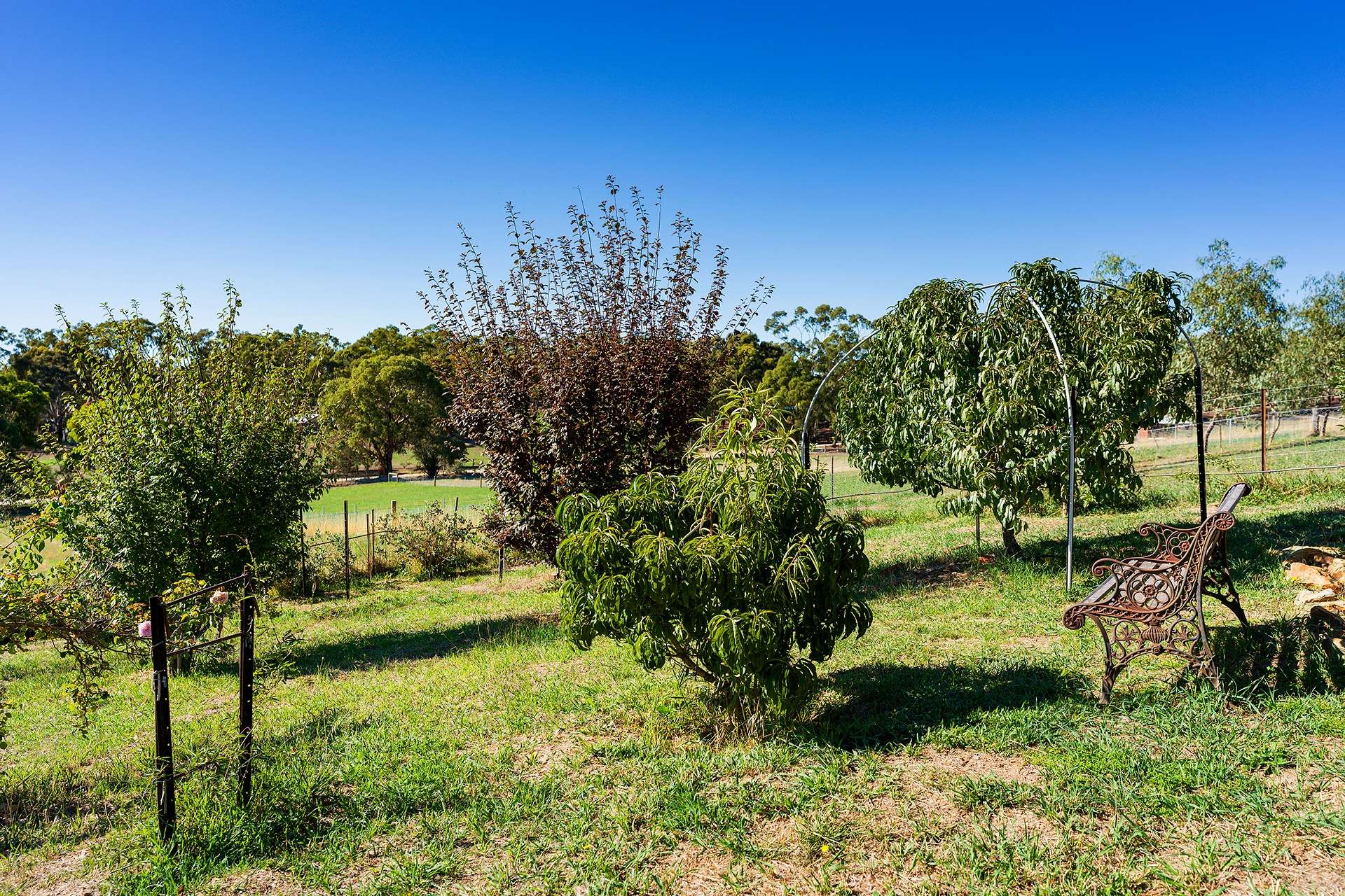 37 Neates Road, Campbells Creek For Sale by Farmbuy.com - image 21