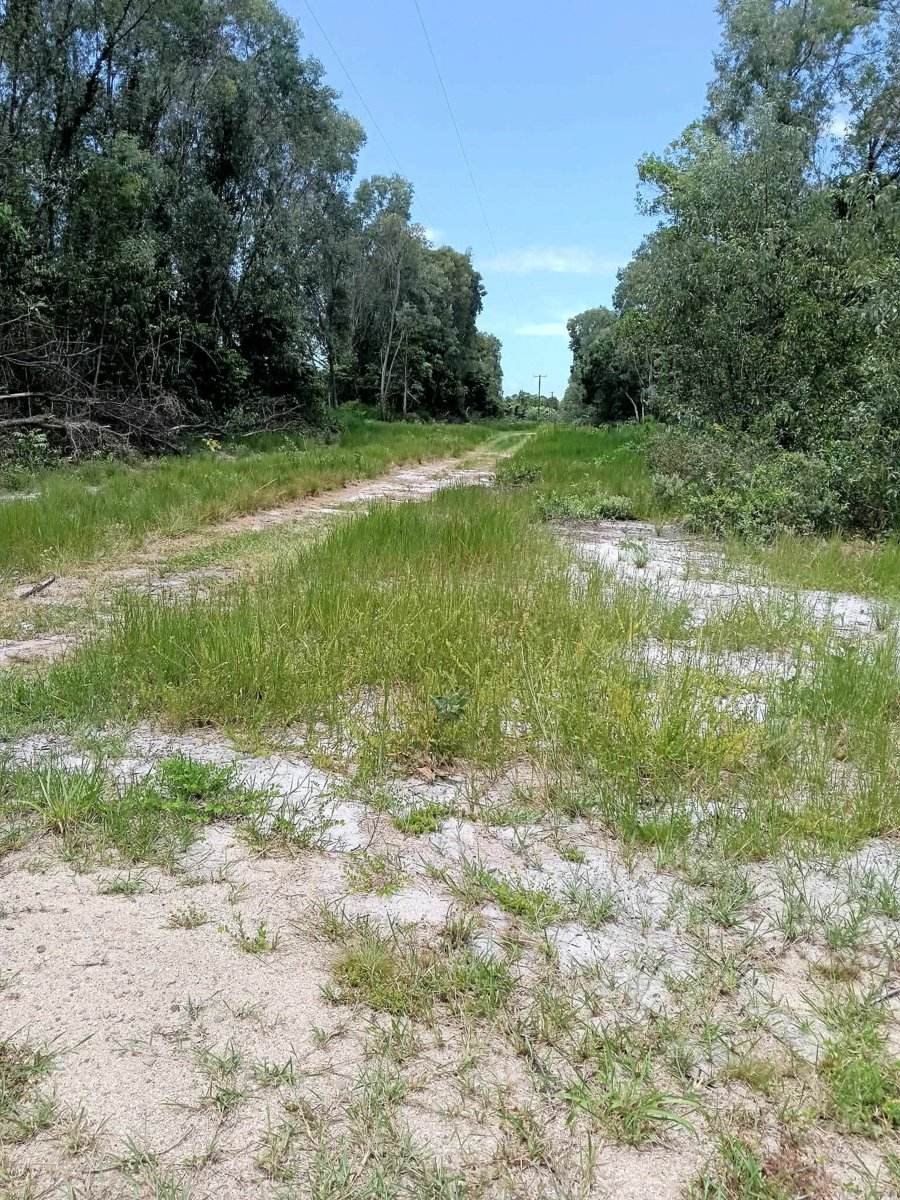 680 Bluff Road, Bilyana For Sale by Farmbuy.com - image 7