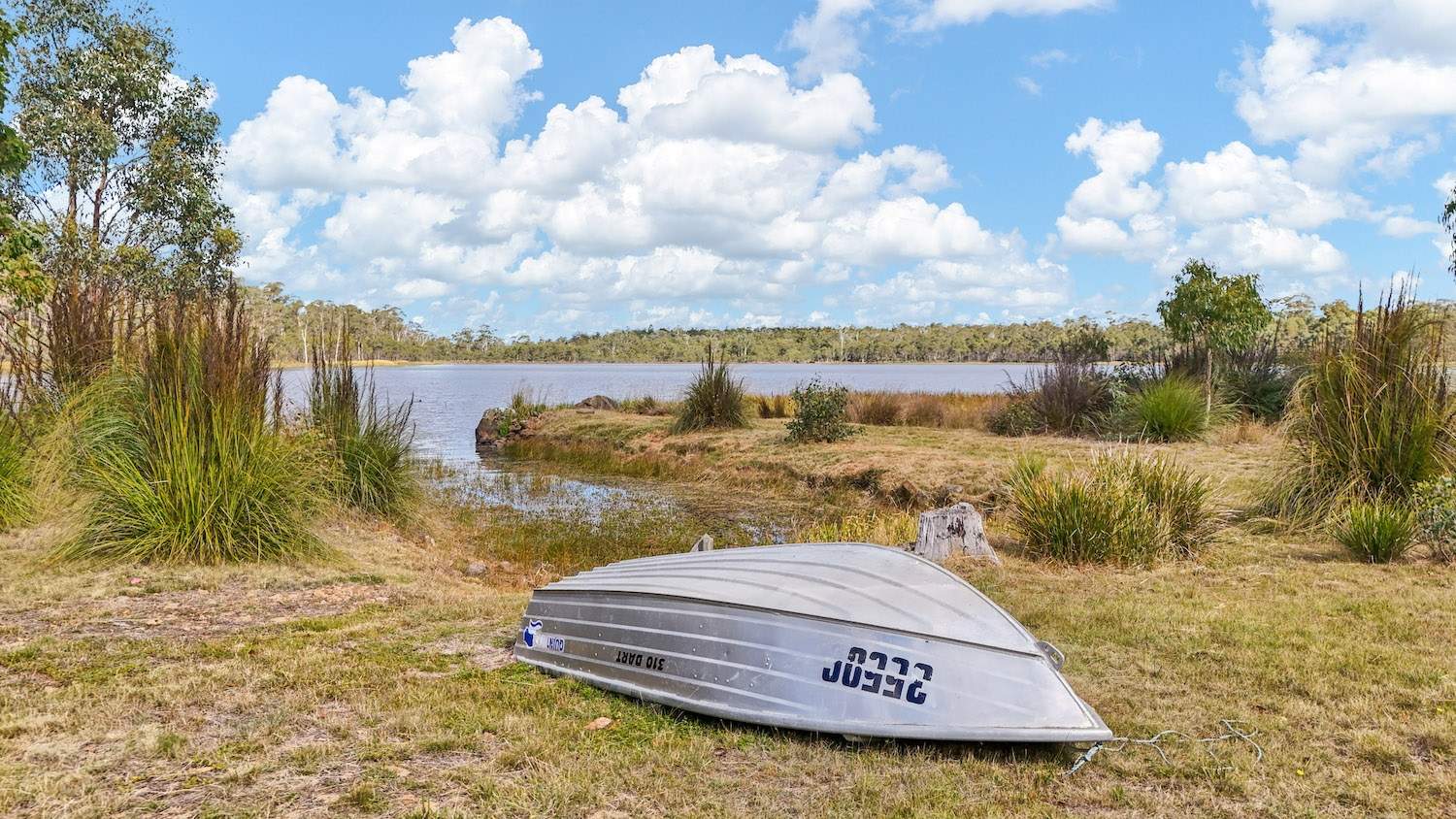 3340 Lake Leake Road, Lake Leake For Sale by Farmbuy.com - image 9