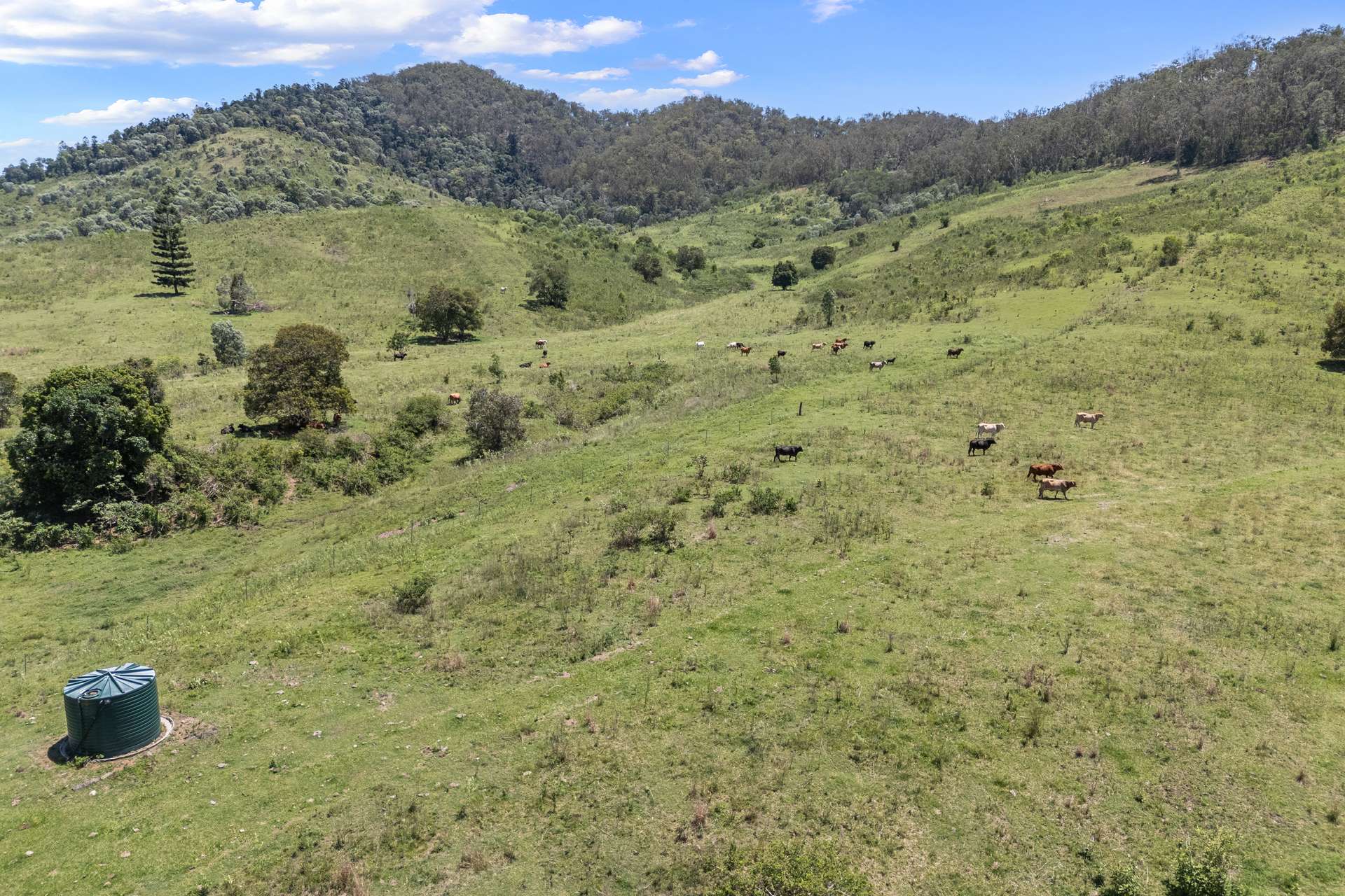 Lot 12 100 Archer Road, Woolooga For Sale by Farmbuy.com - image 6