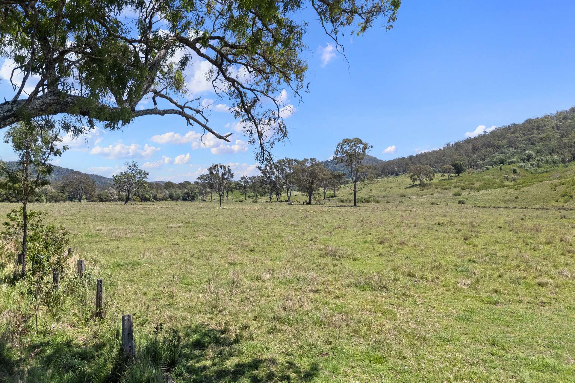 Lot 12 100 Archer Road, Woolooga For Sale by Farmbuy.com - image 9