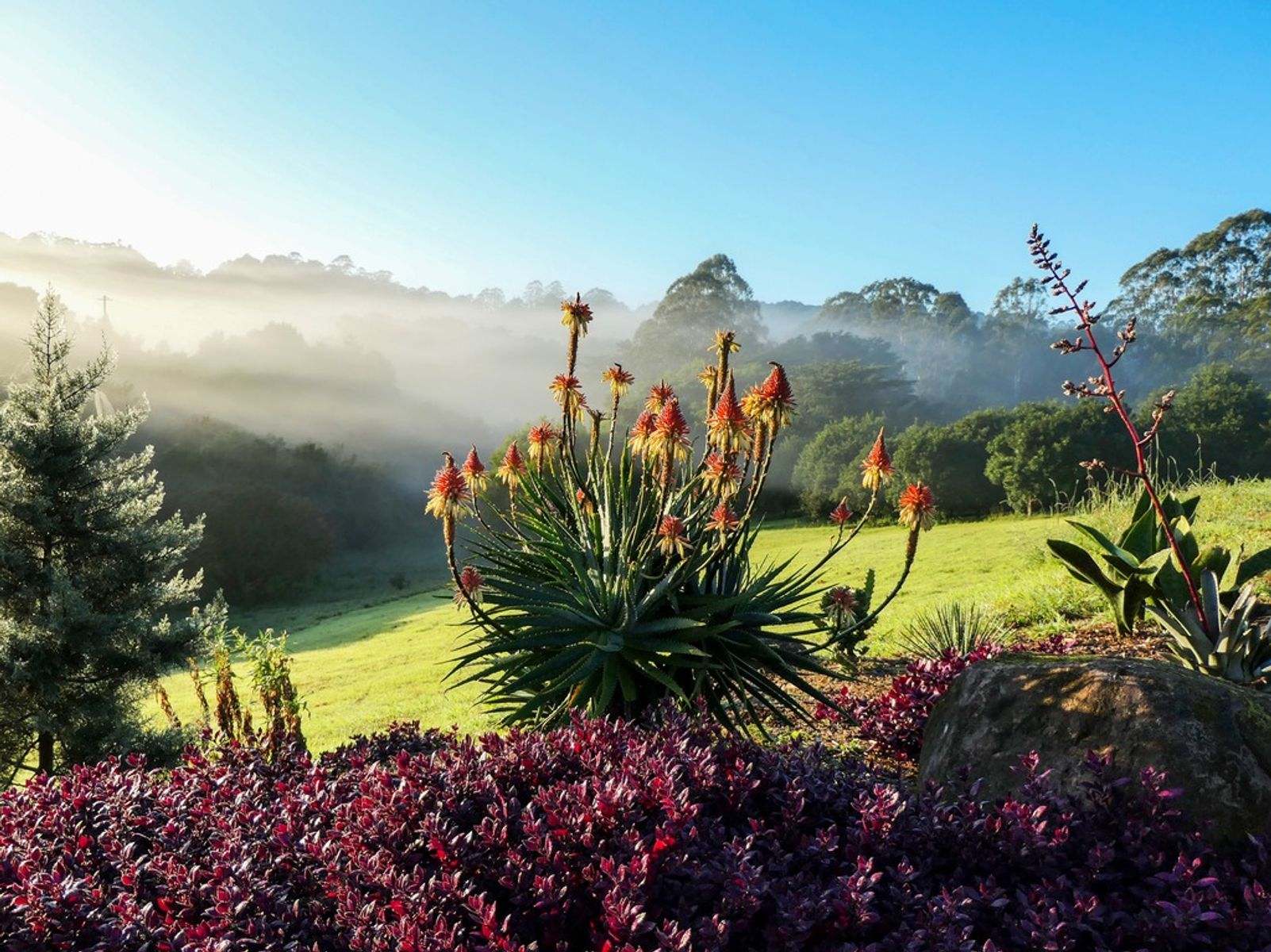 2502 Dunoon Road, Rosebank For Sale by Farmbuy.com - image 15