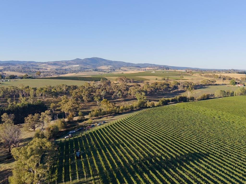 1034 The Escort Way, Orange Auction by Farmbuy.com - image 15