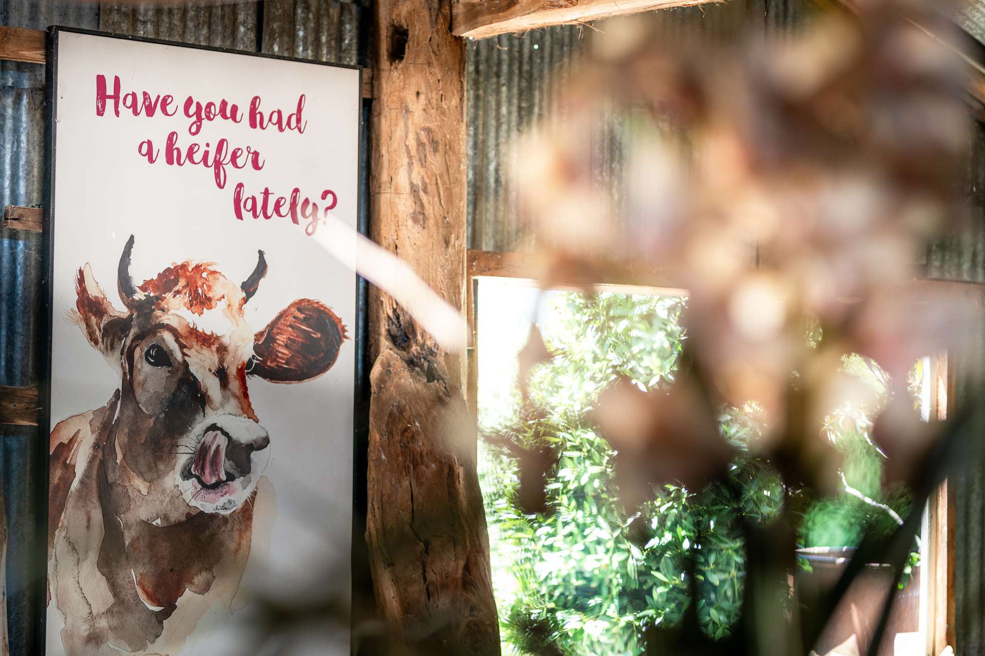 1034 The Escort Way, Orange Auction by Farmbuy.com - image 13