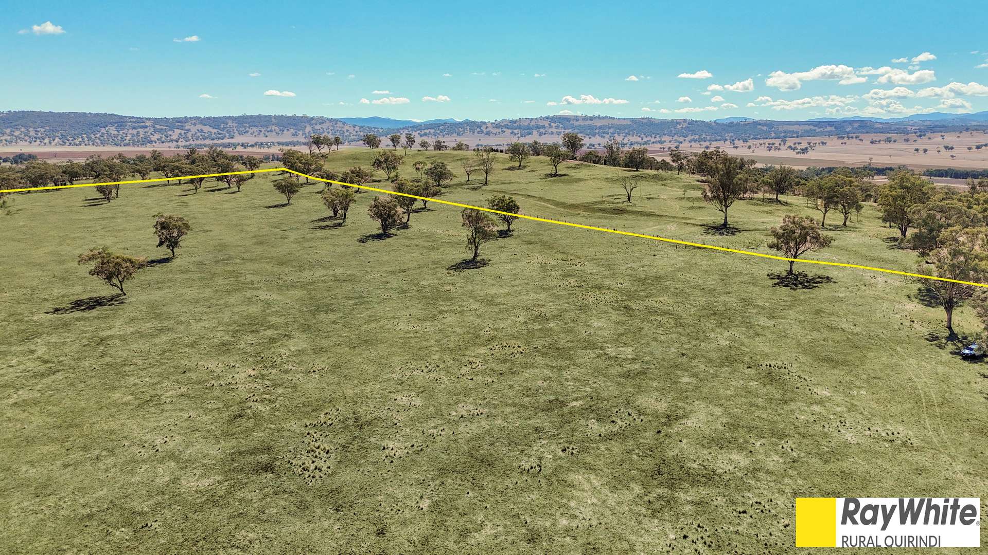 981 Merriwa Road, WARRAH, Willow Tree For Sale by Farmbuy.com - image 7