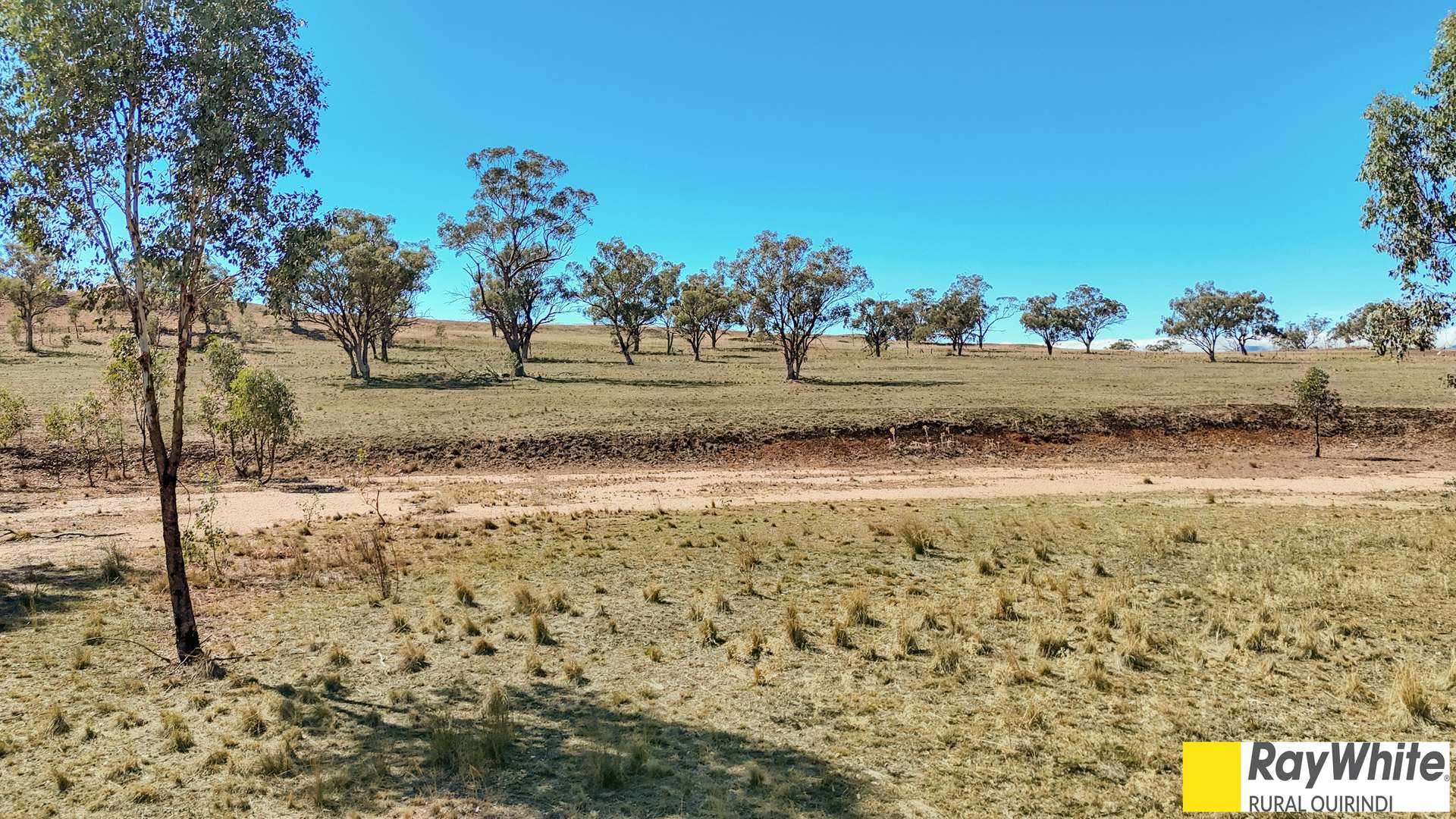 981 Merriwa Road, WARRAH, Willow Tree For Sale by Farmbuy.com - image 12