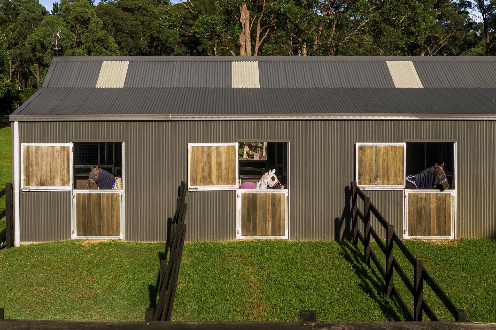 242 Dairy Road, The Oaks For Sale by Farmbuy.com - image 28