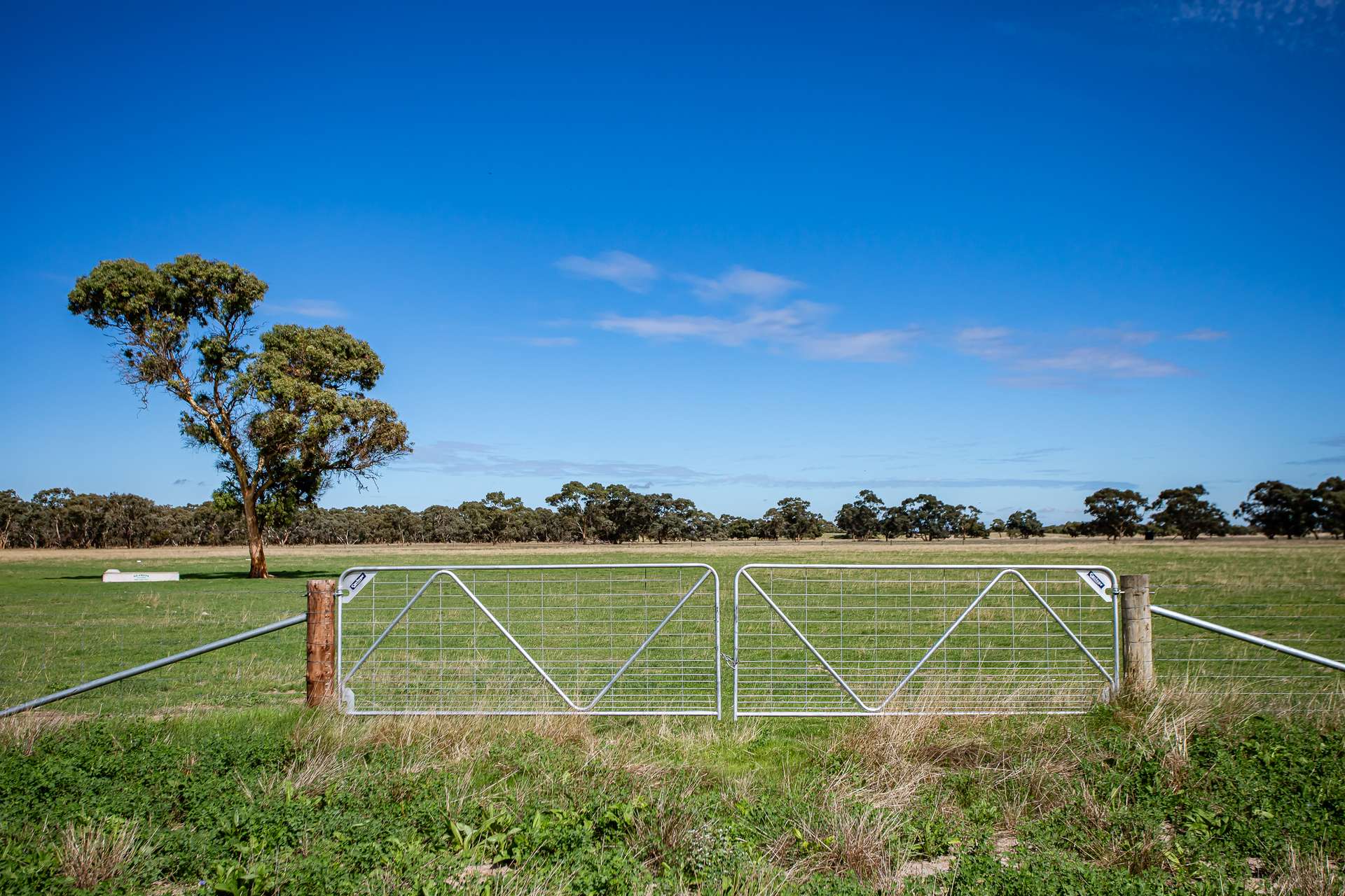 1089 Pedericks Road, Lochaber For Sale by Farmbuy.com - image 16