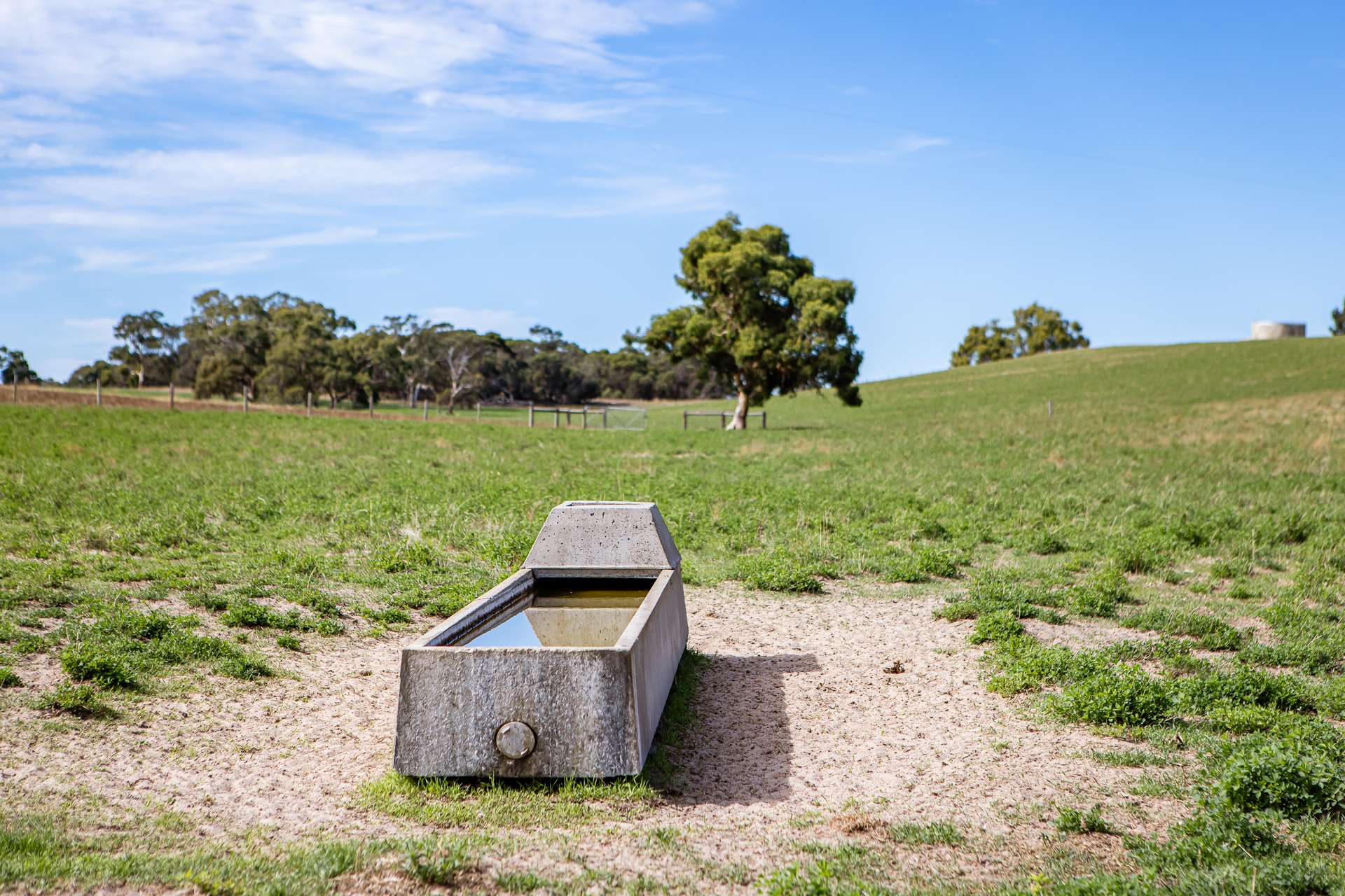 1089 Pedericks Road, Lochaber For Sale by Farmbuy.com - image 14