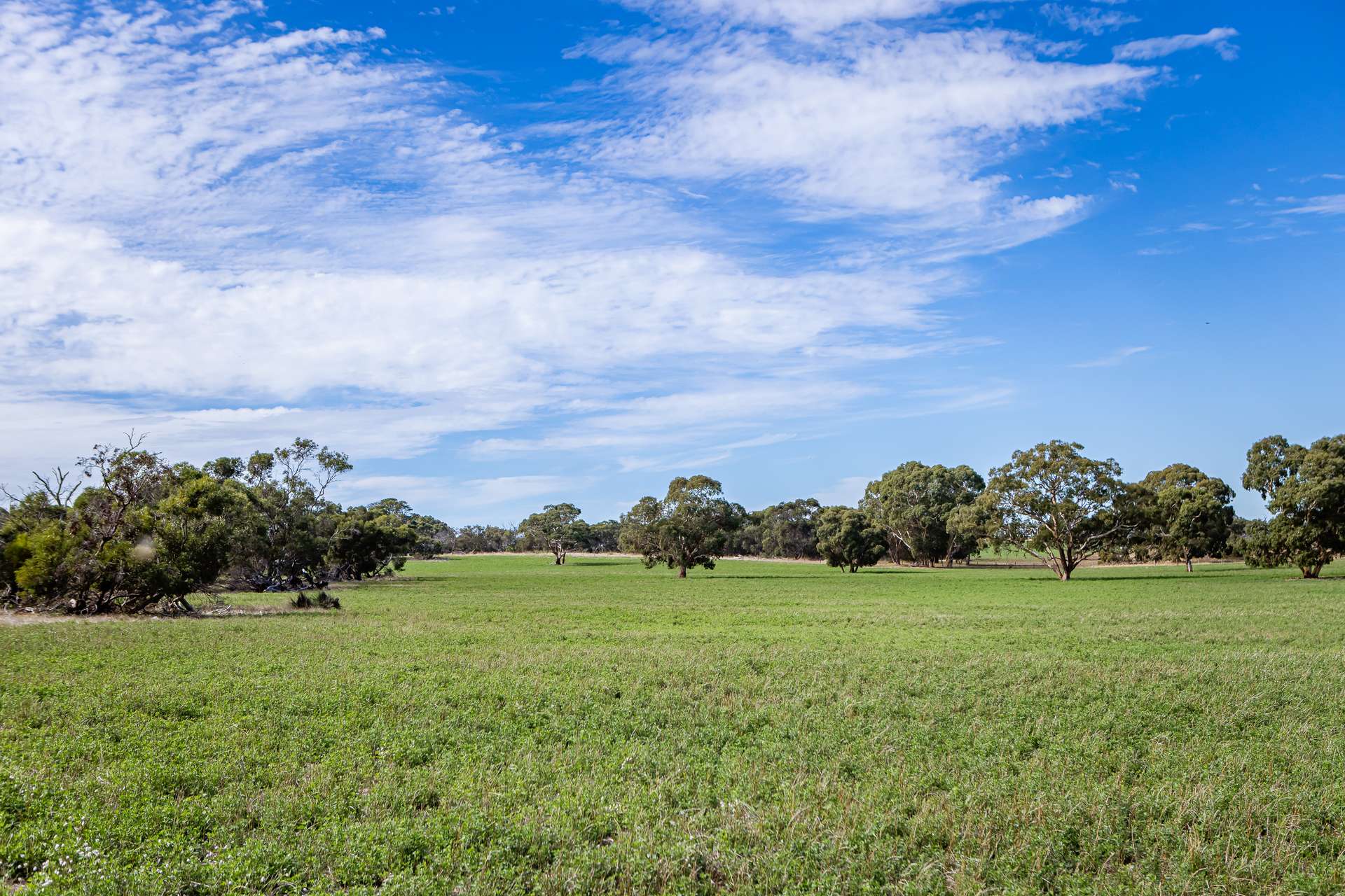 1089 Pedericks Road, Lochaber For Sale by Farmbuy.com - image 9
