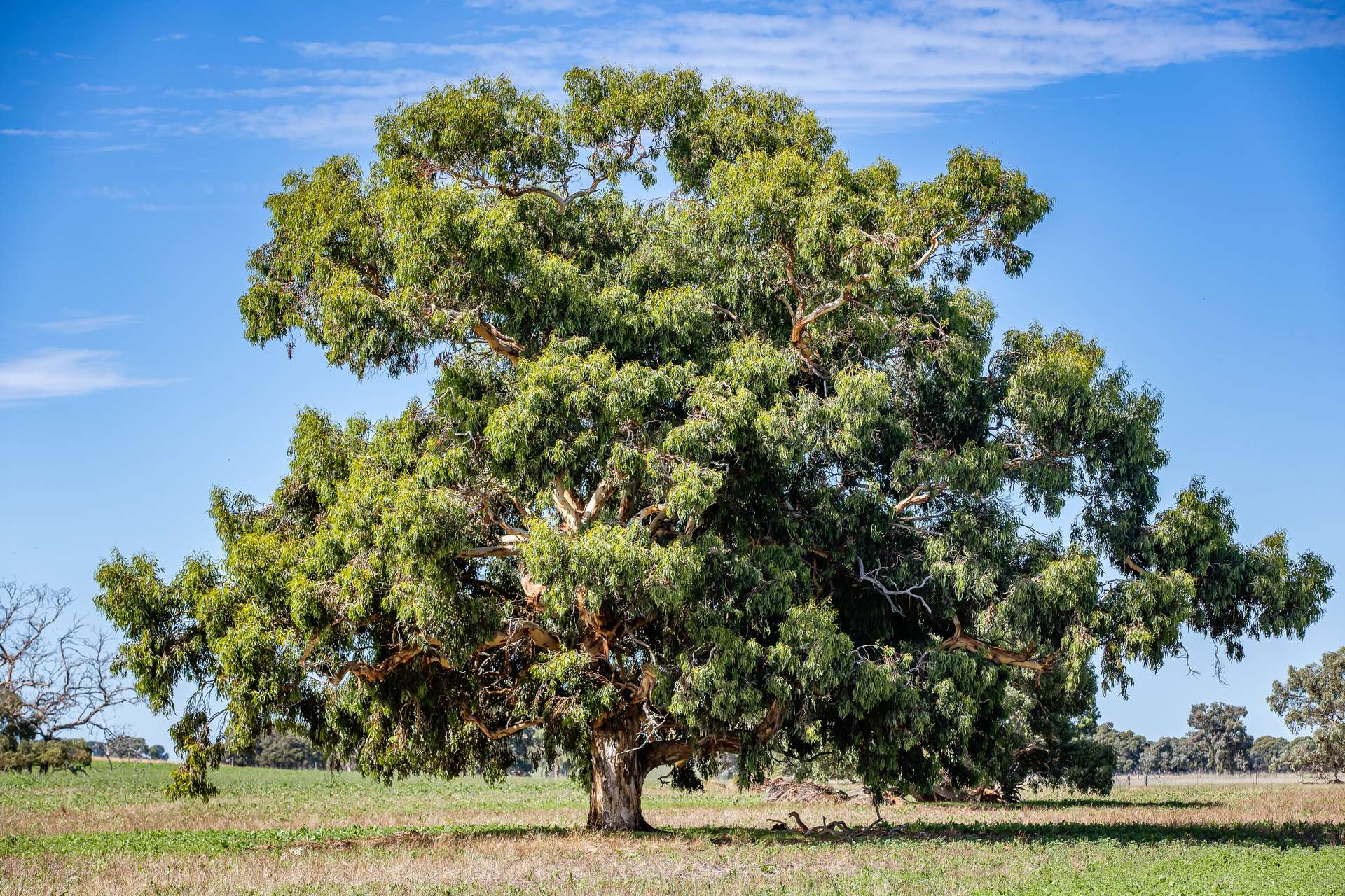1089 Pedericks Road, Lochaber For Sale by Farmbuy.com - image 24