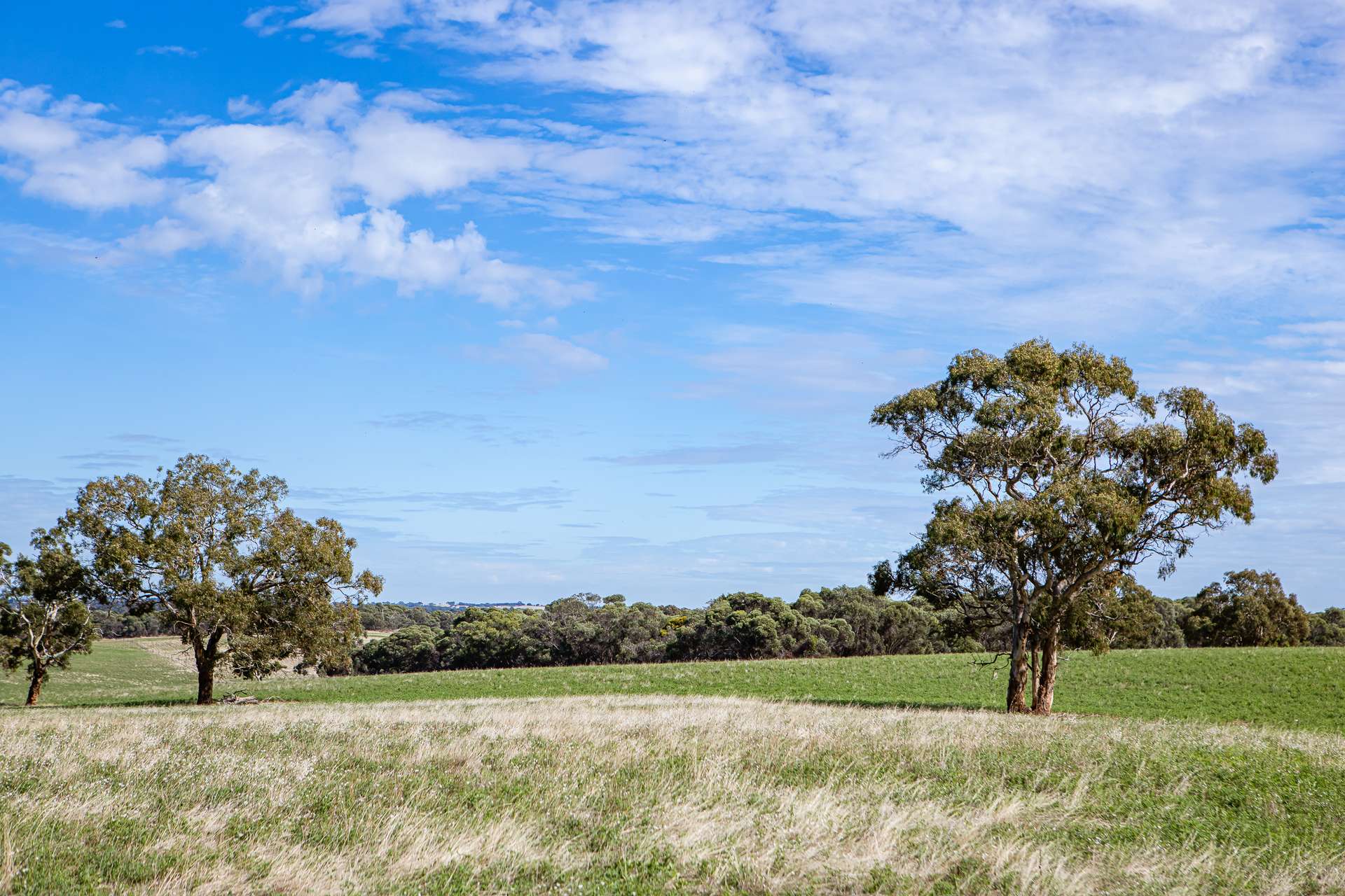 1089 Pedericks Road, Lochaber For Sale by Farmbuy.com - image 23