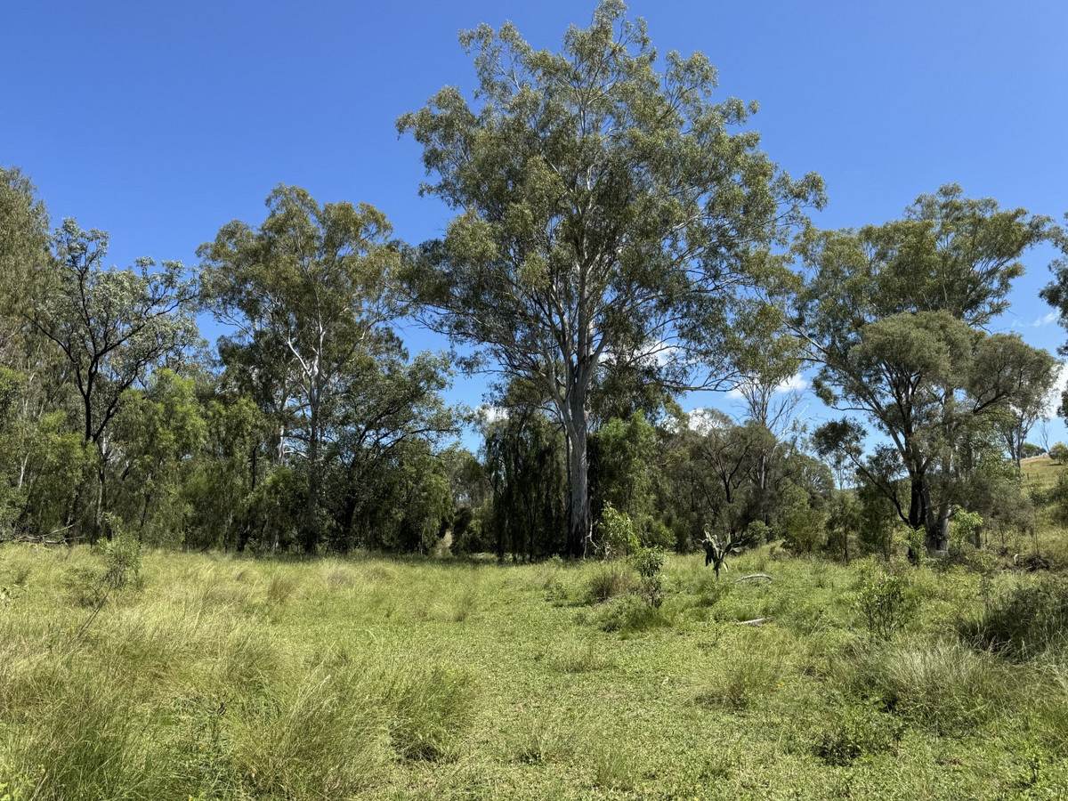 "Mustons" Frawleys Road, Thangool For Sale by Farmbuy.com - image 21