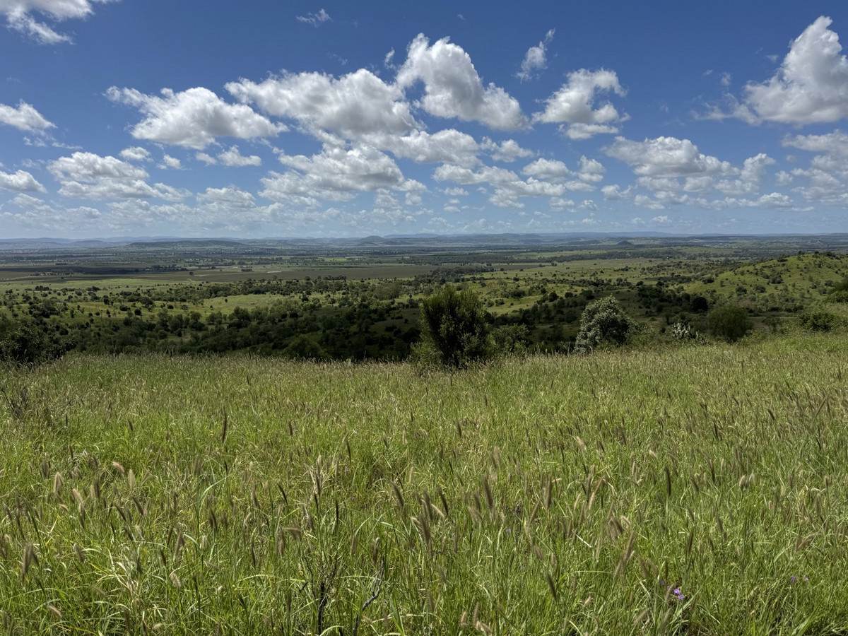 "Mustons" Frawleys Road, Thangool For Sale by Farmbuy.com - image 4