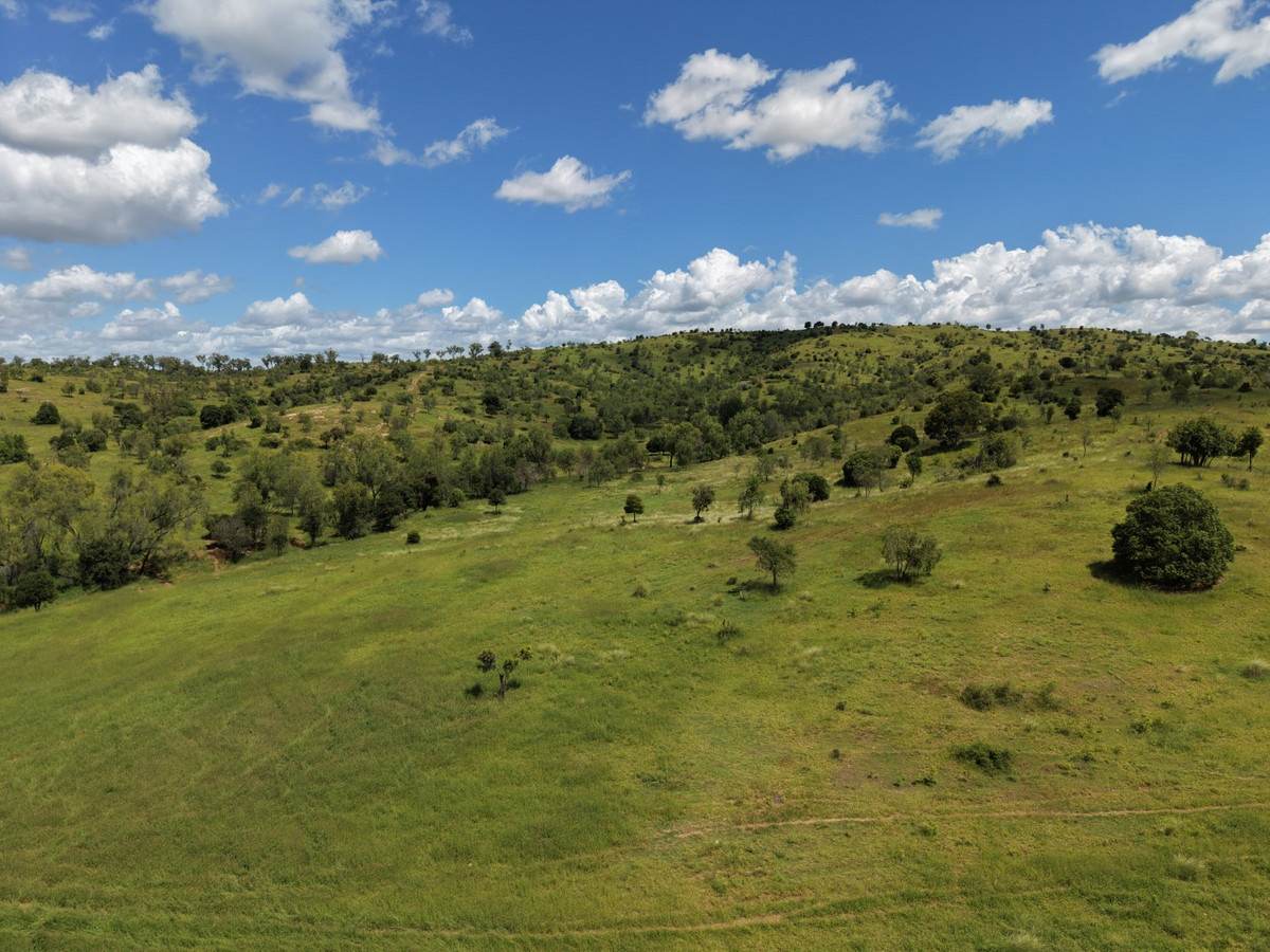 "Mustons" Frawleys Road, Thangool For Sale by Farmbuy.com - image 13