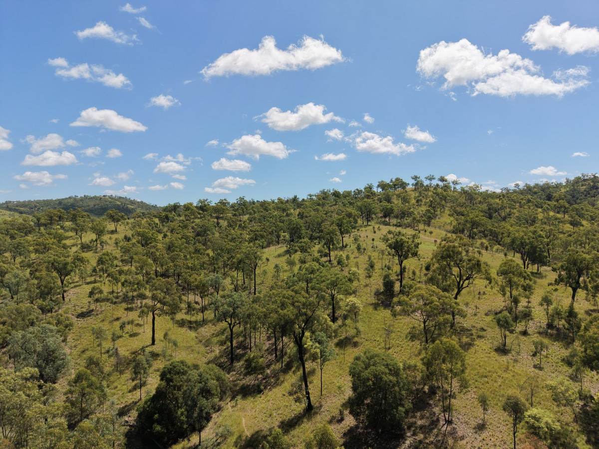 "Mustons" Frawleys Road, Thangool For Sale by Farmbuy.com - image 26