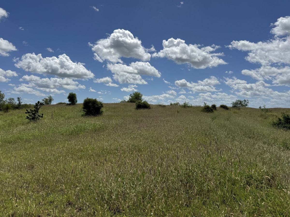 "Mustons" Frawleys Road, Thangool For Sale by Farmbuy.com - image 2