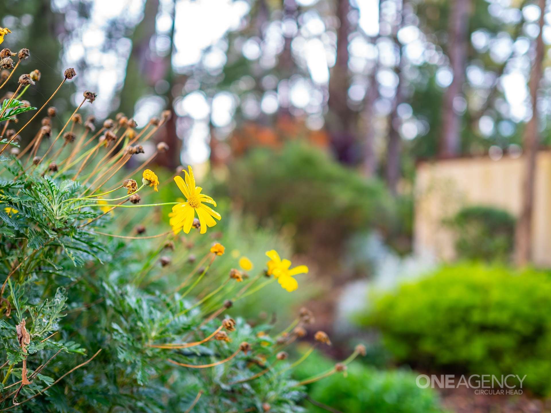 22 Tierneys Road, Mengha For Sale by Farmbuy.com - image 27