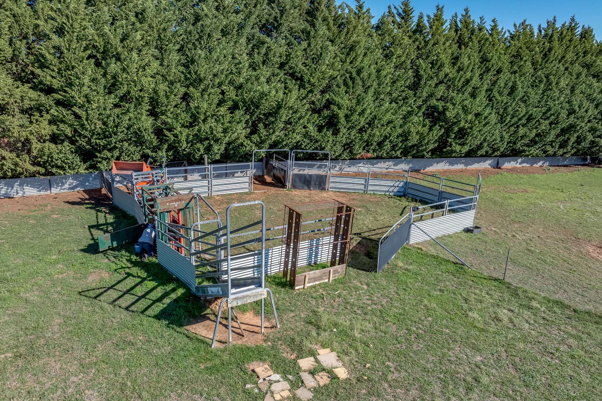 1873 Peelwood Road, Laggan For Sale by Farmbuy.com - image 31