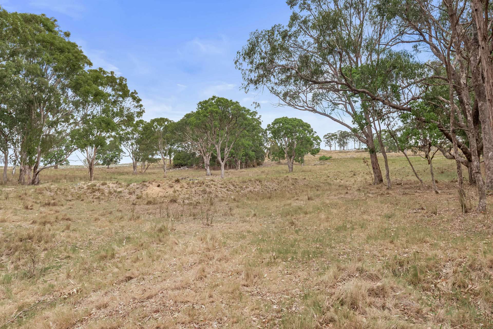 Lot 43 Sunnyside Loop Road, Tenterfield For Sale by Farmbuy.com - image 7