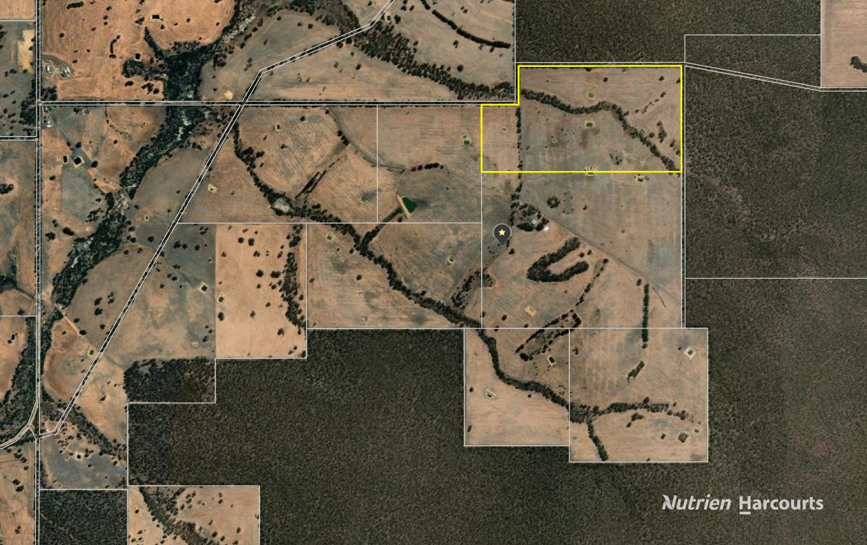 "Bloomvale", Bloomfields Road, Scotts Brook For Sale by Farmbuy.com - image 11