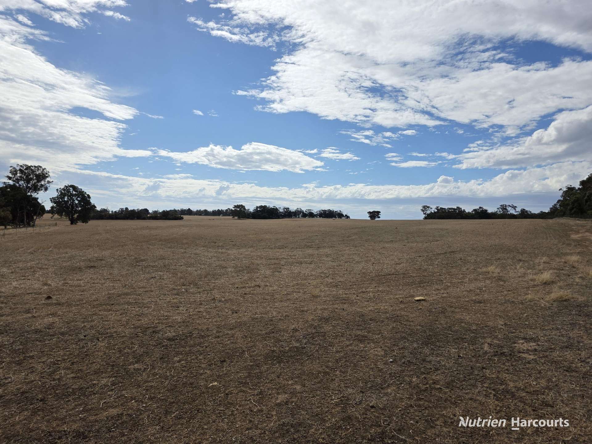 "Bloomvale", Bloomfields Road, Scotts Brook For Sale by Farmbuy.com - image 27