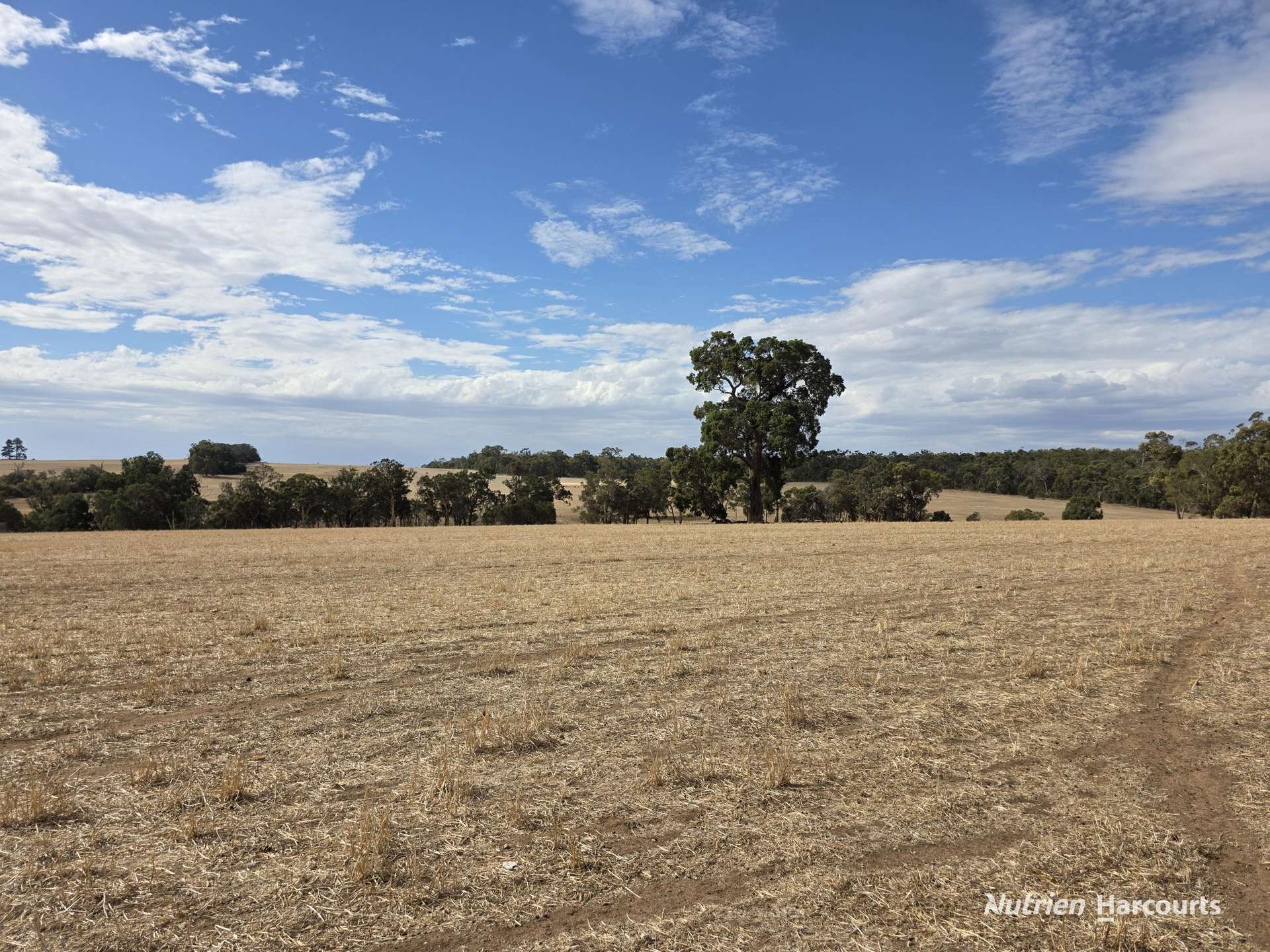 "Bloomvale", Bloomfields Road, Scotts Brook For Sale by Farmbuy.com - image 5