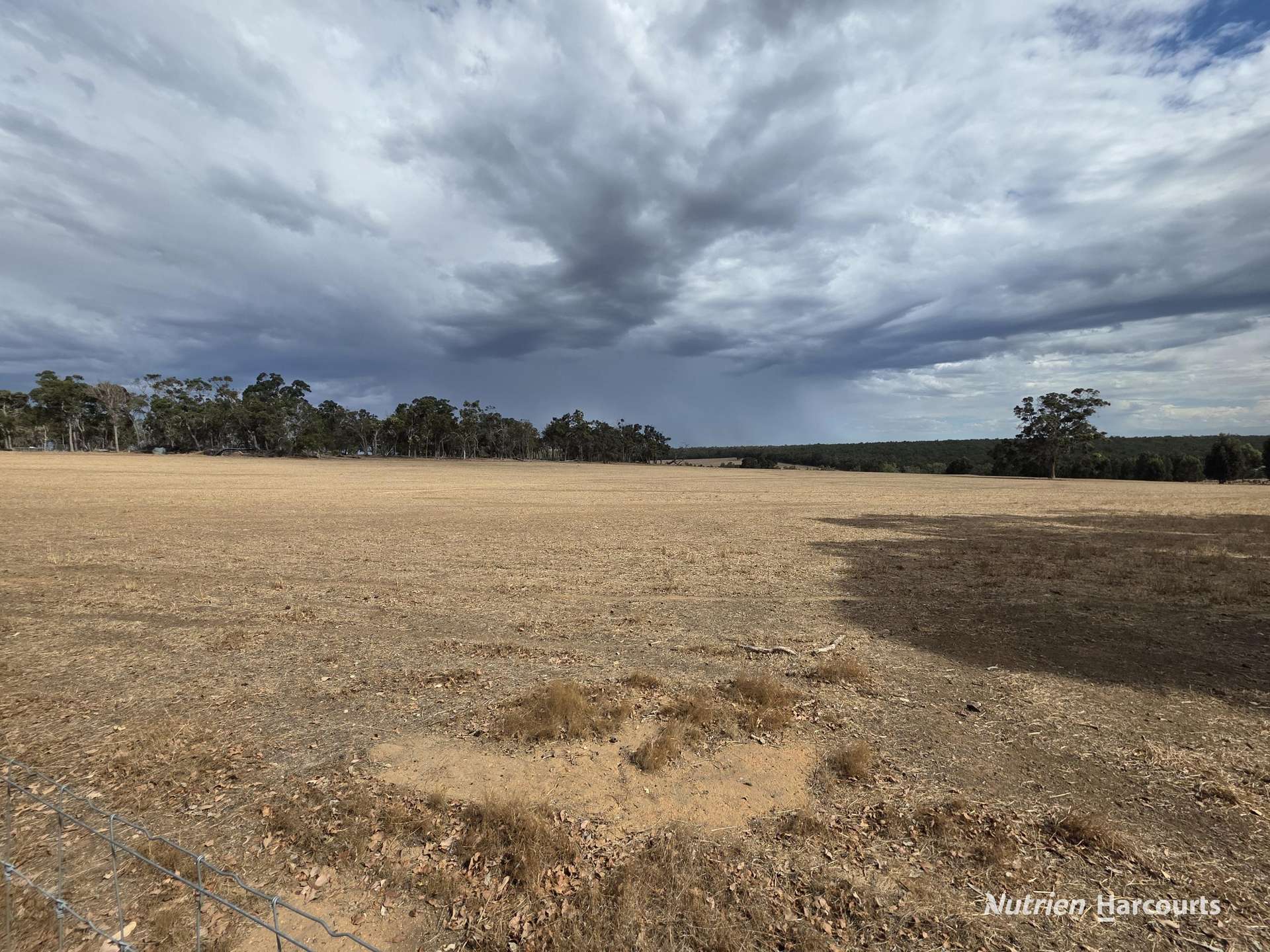 "Bloomvale", Bloomfields Road, Scotts Brook For Sale by Farmbuy.com - image 21