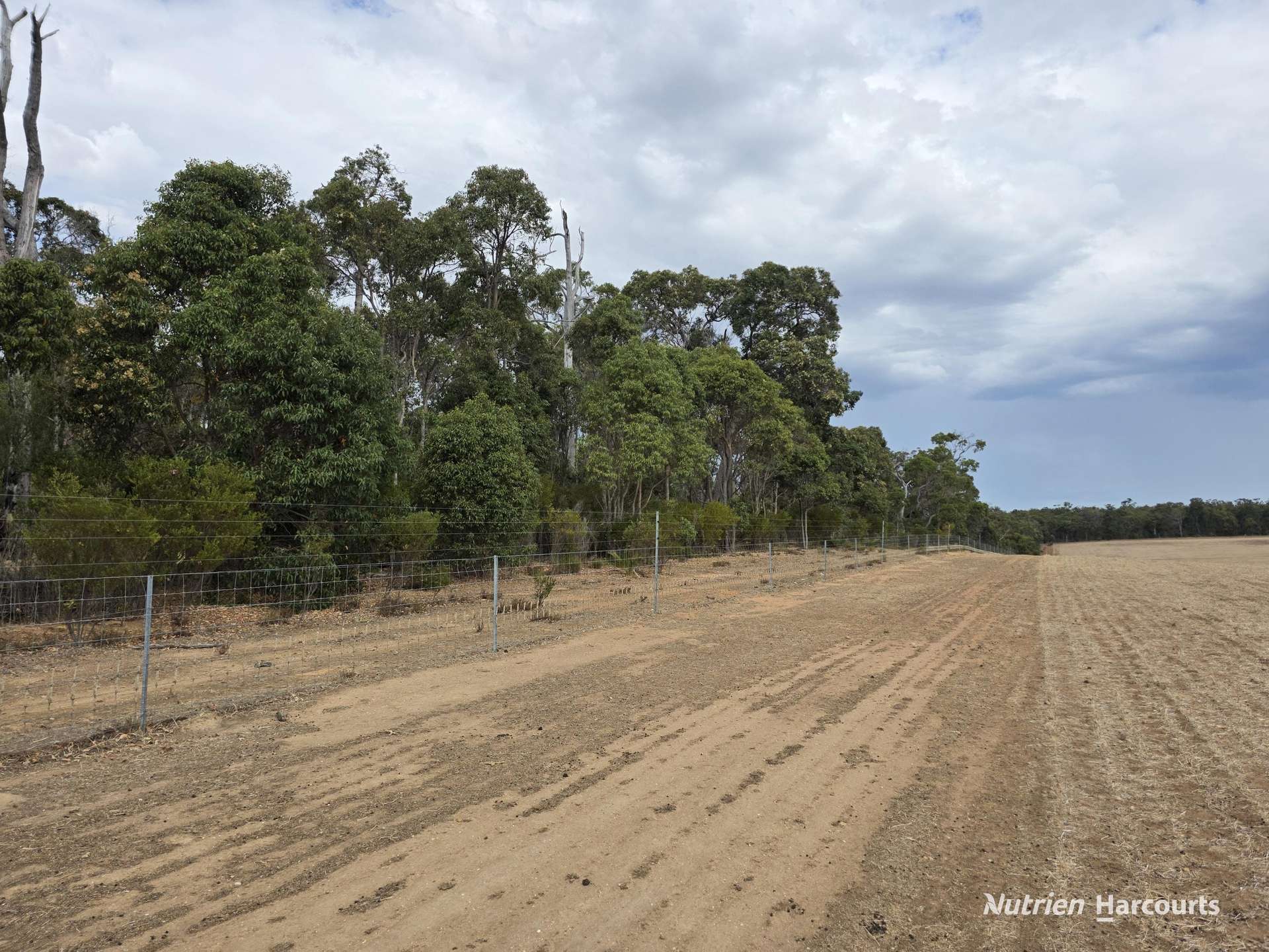 "Bloomvale", Bloomfields Road, Scotts Brook For Sale by Farmbuy.com - image 25