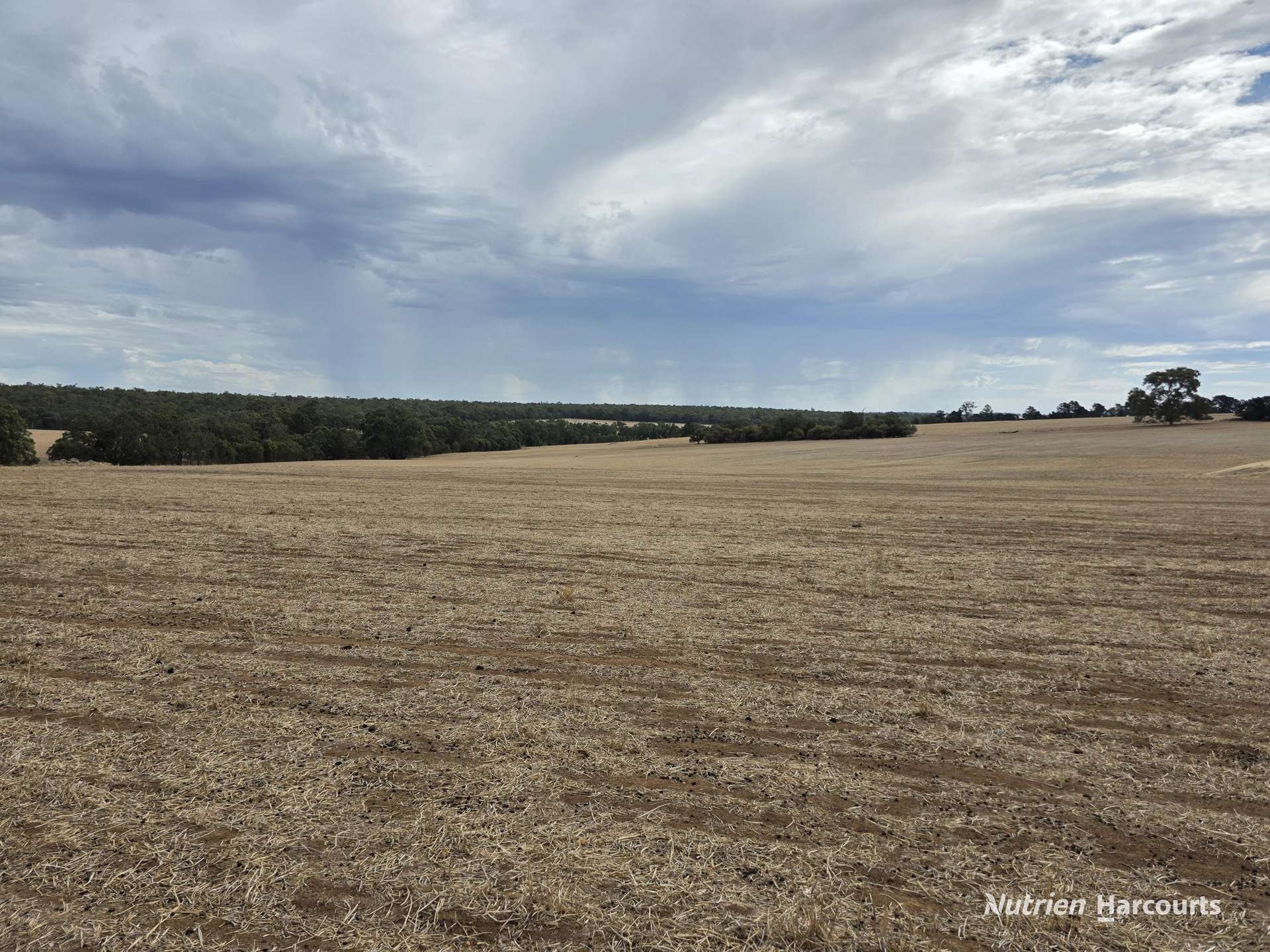 "Bloomvale", Bloomfields Road, Scotts Brook For Sale by Farmbuy.com - image 1