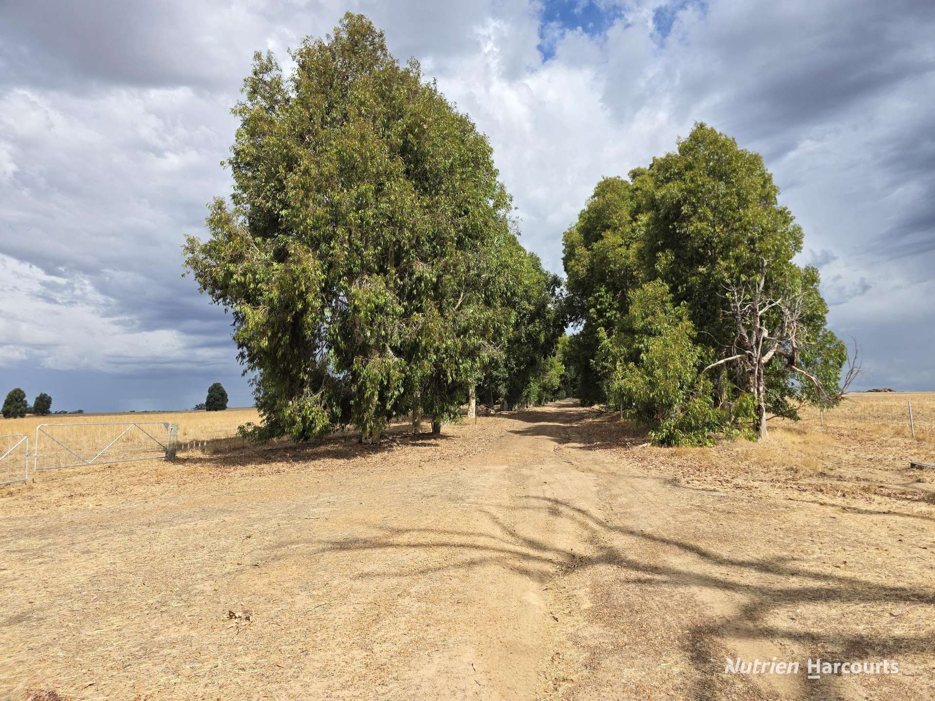 "Bloomvale", Bloomfields Road, Scotts Brook For Sale by Farmbuy.com - image 12