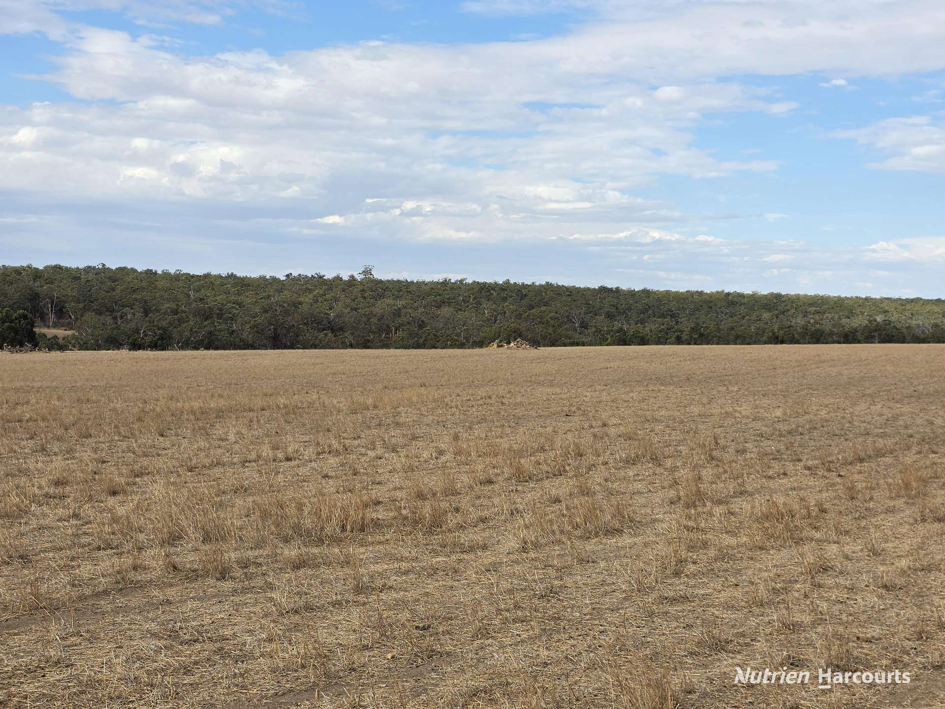 "Bloomvale", Bloomfields Road, Scotts Brook For Sale by Farmbuy.com - image 7