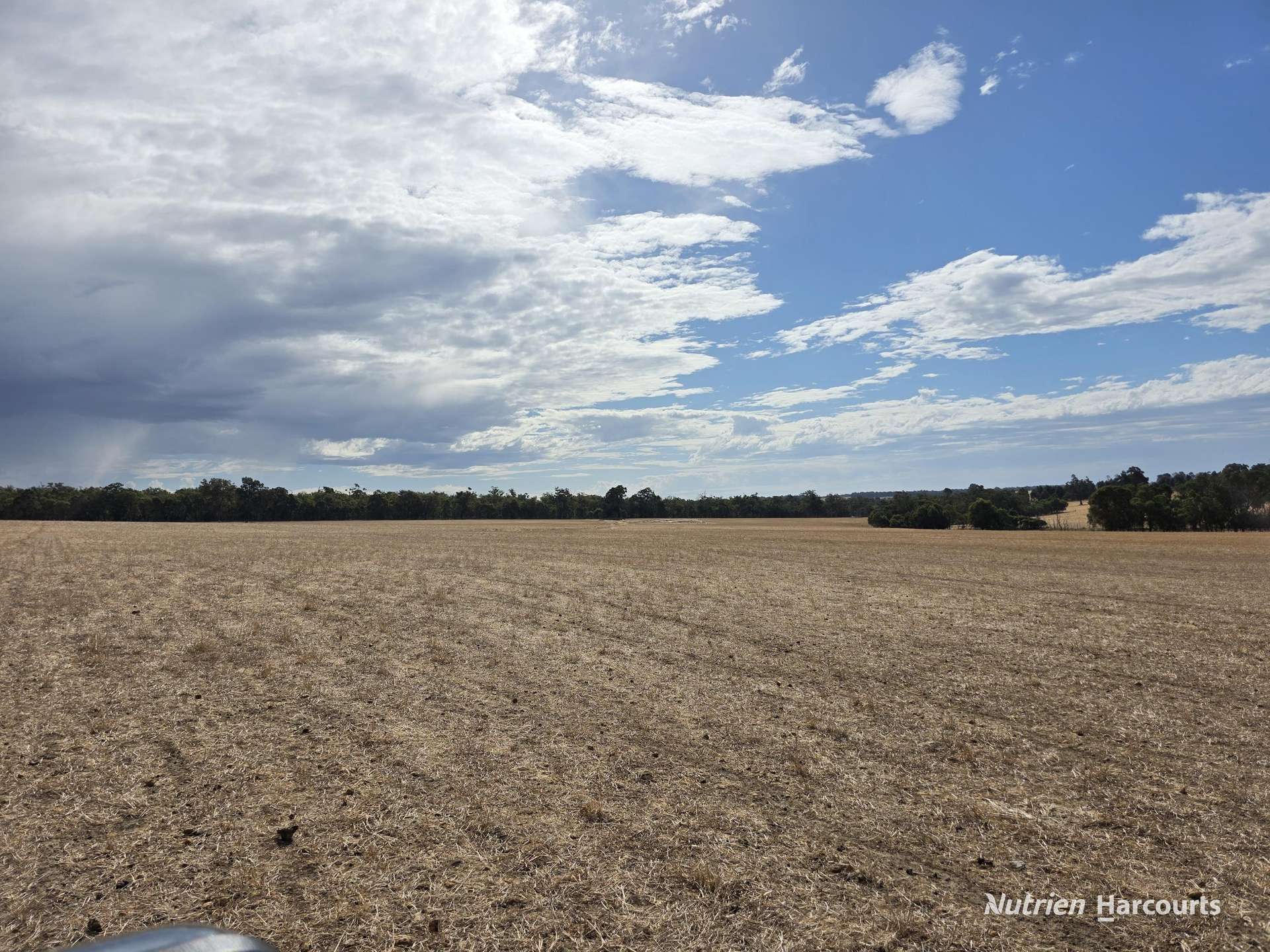 "Bloomvale", Bloomfields Road, Scotts Brook For Sale by Farmbuy.com - image 31