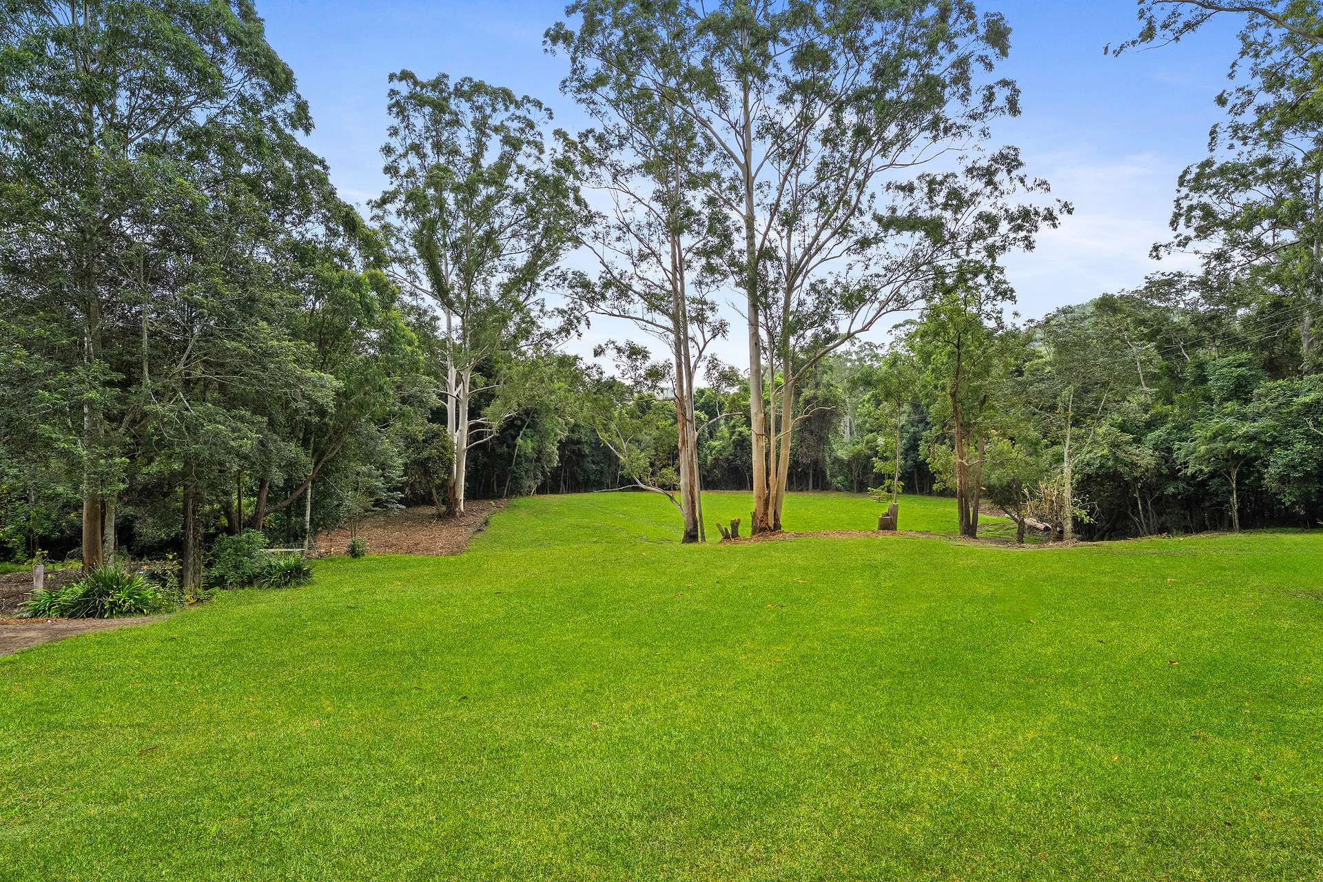 1652 Yarramalong Road, Yarramalong For Sale by Farmbuy.com - image 16