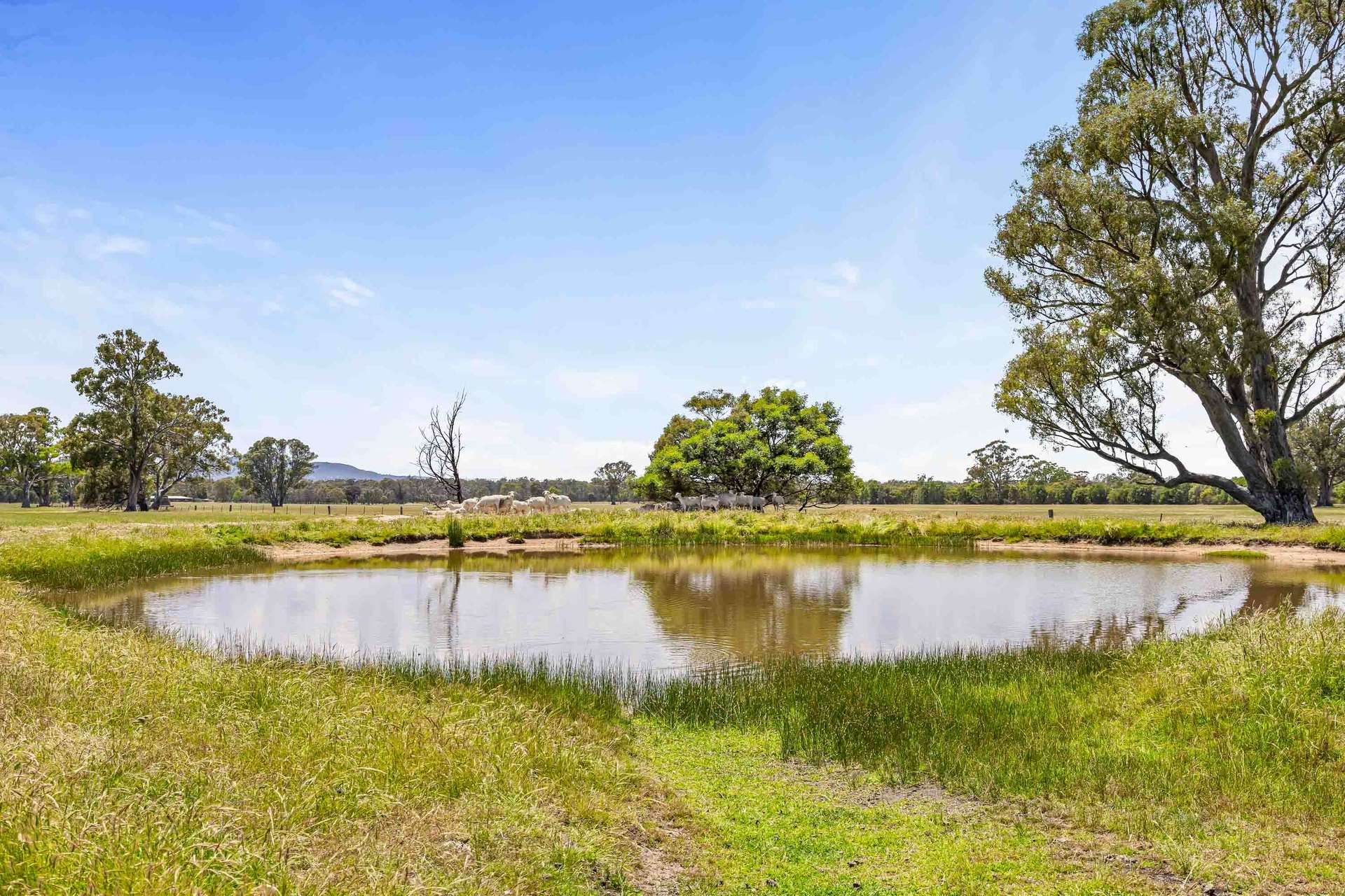2897 Ararat-Halls Gap Road, Pomonal For Sale by Farmbuy.com - image 27