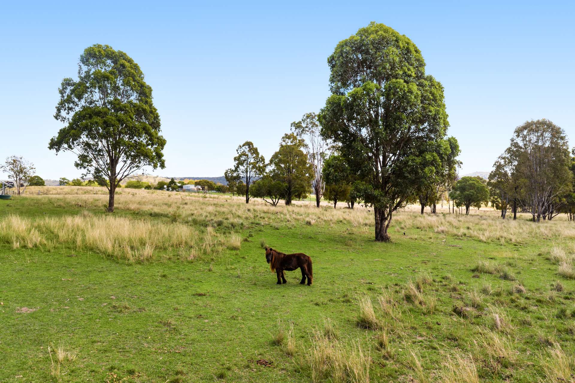 188 Valewood Road, Geham For Sale by Farmbuy.com - image 4