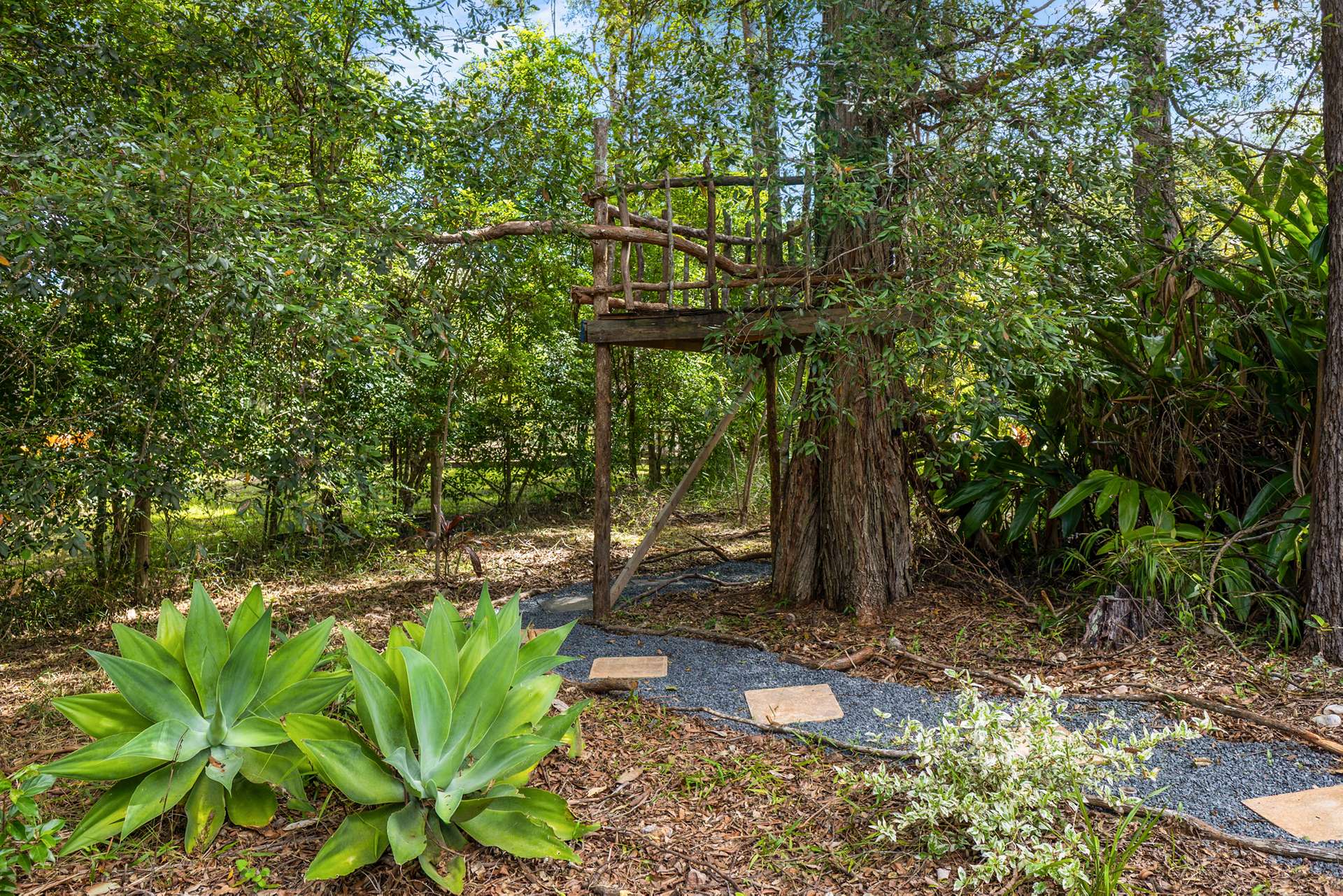 4 Sapling Court, Pomona For Sale by Farmbuy.com - image 29
