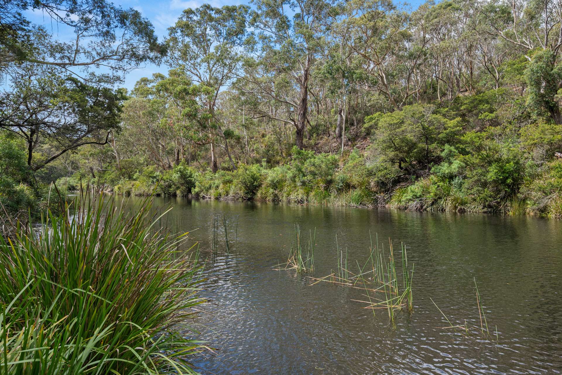 147 Webbs Road, Braidwood For Sale by Farmbuy.com - image 19