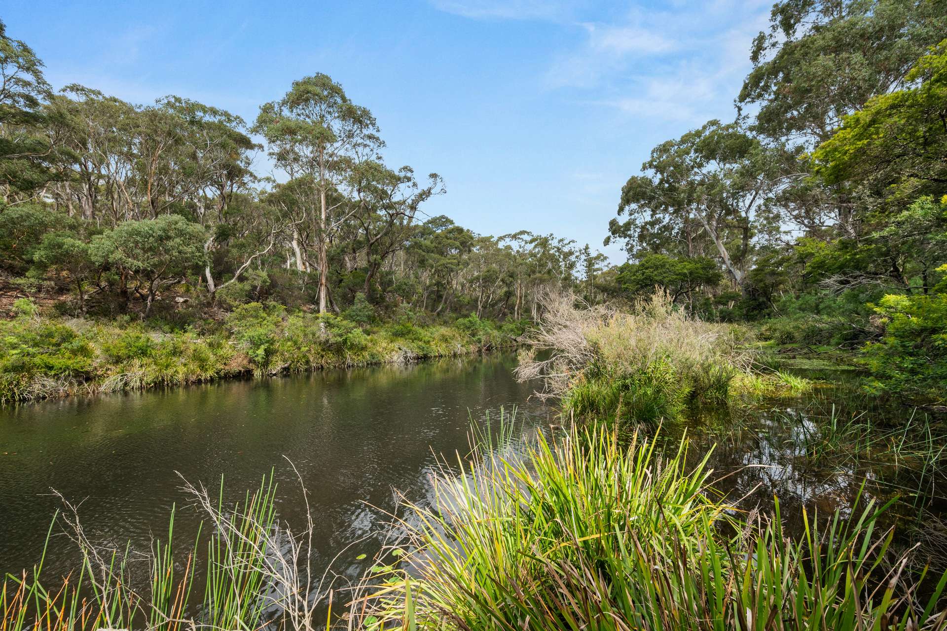 147 Webbs Road, Braidwood For Sale by Farmbuy.com - image 26