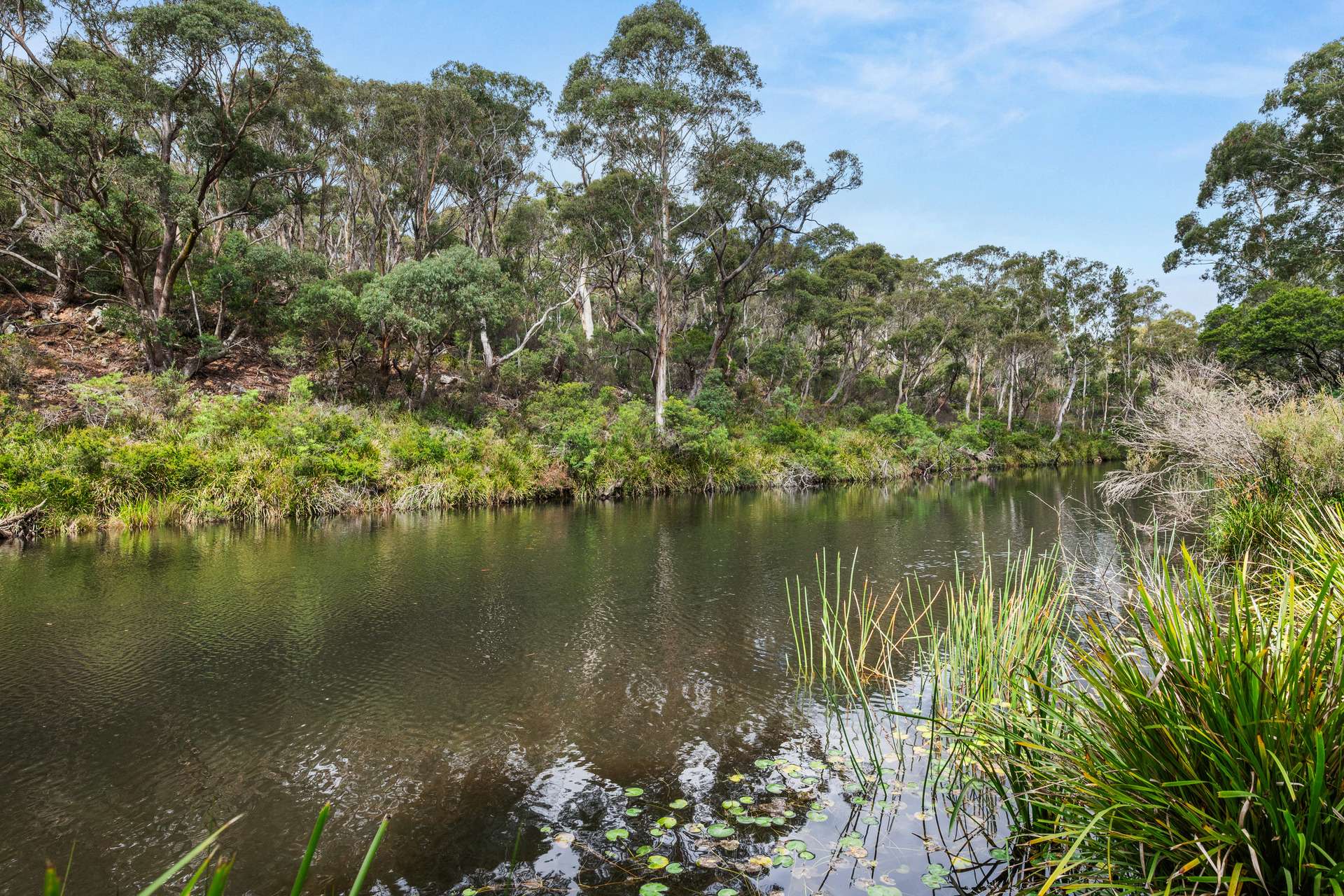 147 Webbs Road, Braidwood For Sale by Farmbuy.com - image 2