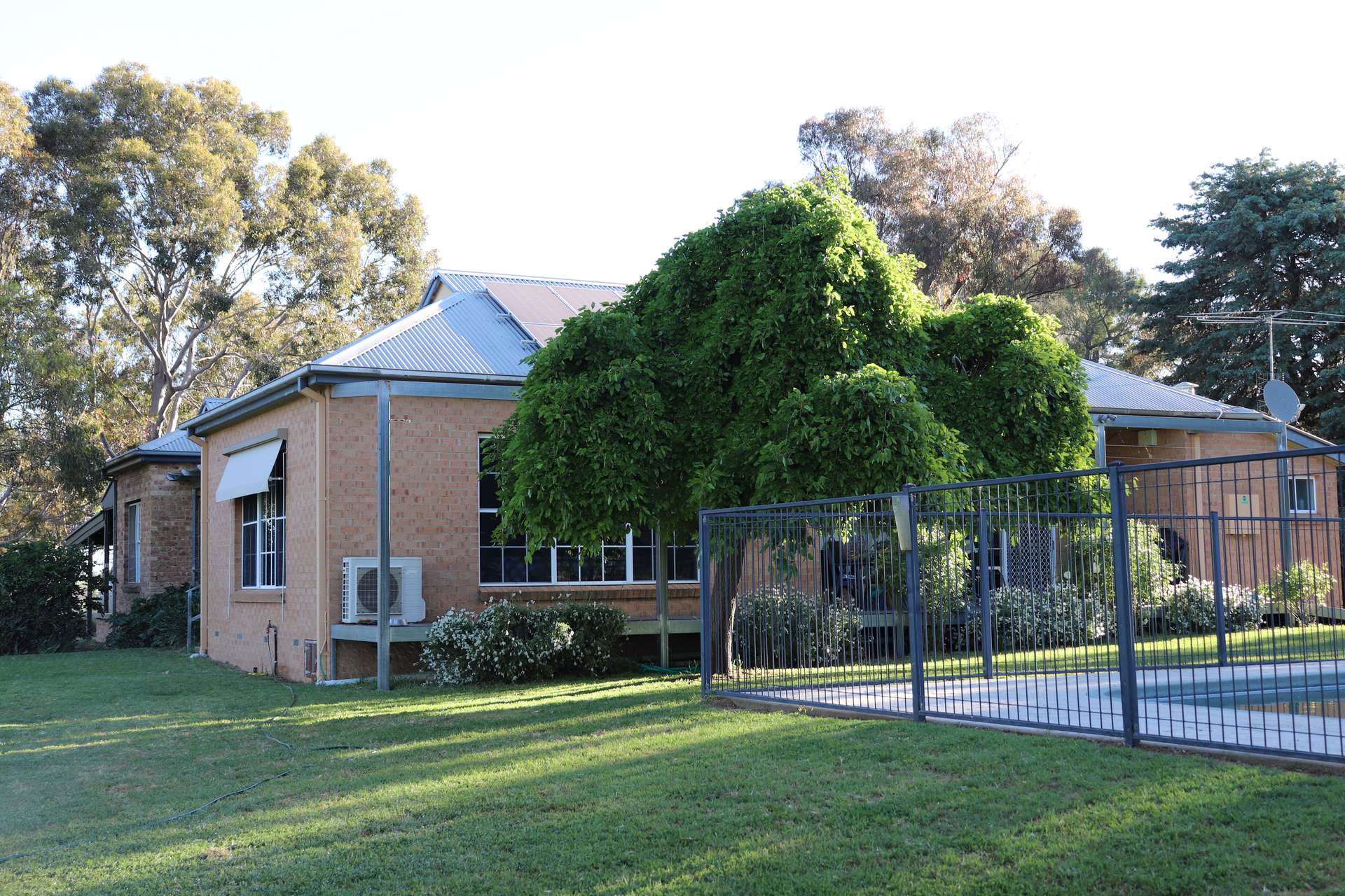 510 Kingsvale Road, Young For Sale by Farmbuy.com - image 2