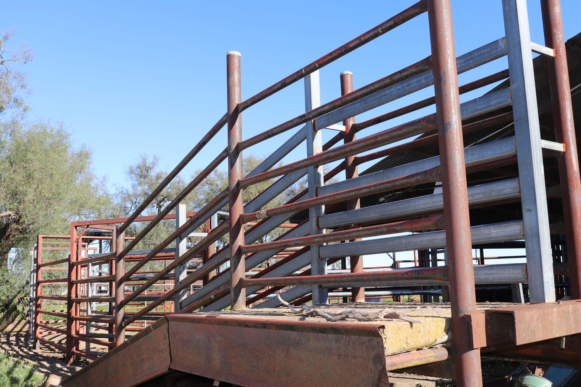 510 Kingsvale Road, Young For Sale by Farmbuy.com - image 13